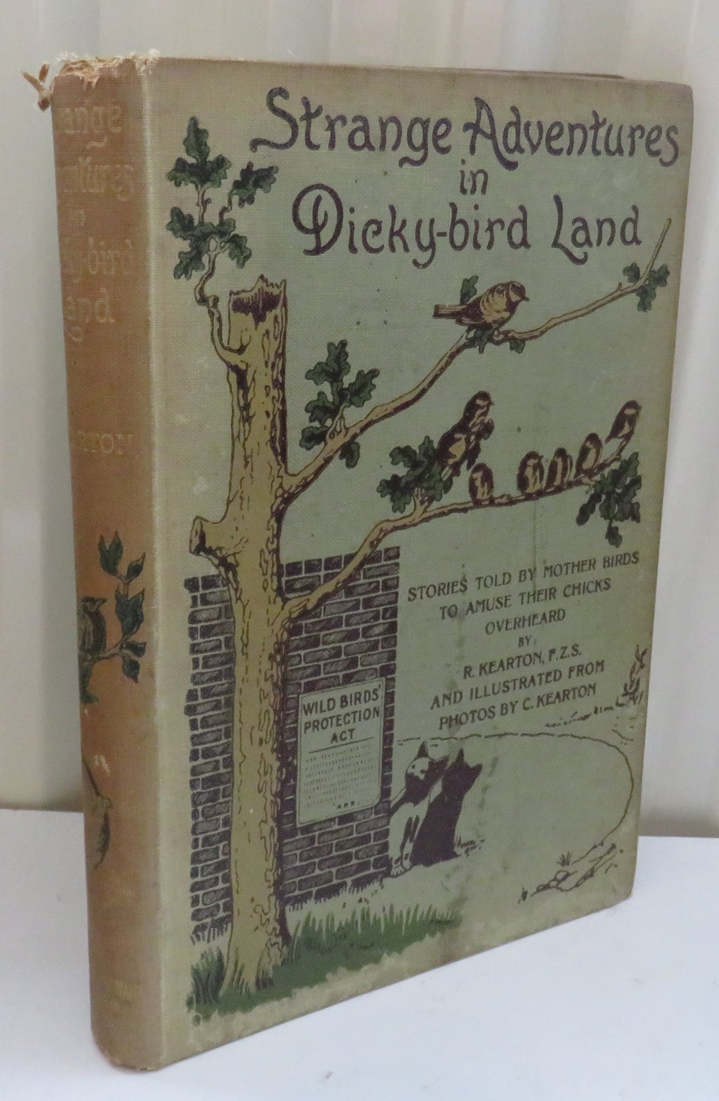 Strange Adventures In Dicky-Bird Land Stories Told By Mother Birds To Amuse Their Chicks and Overheard By R. Kearton 1902