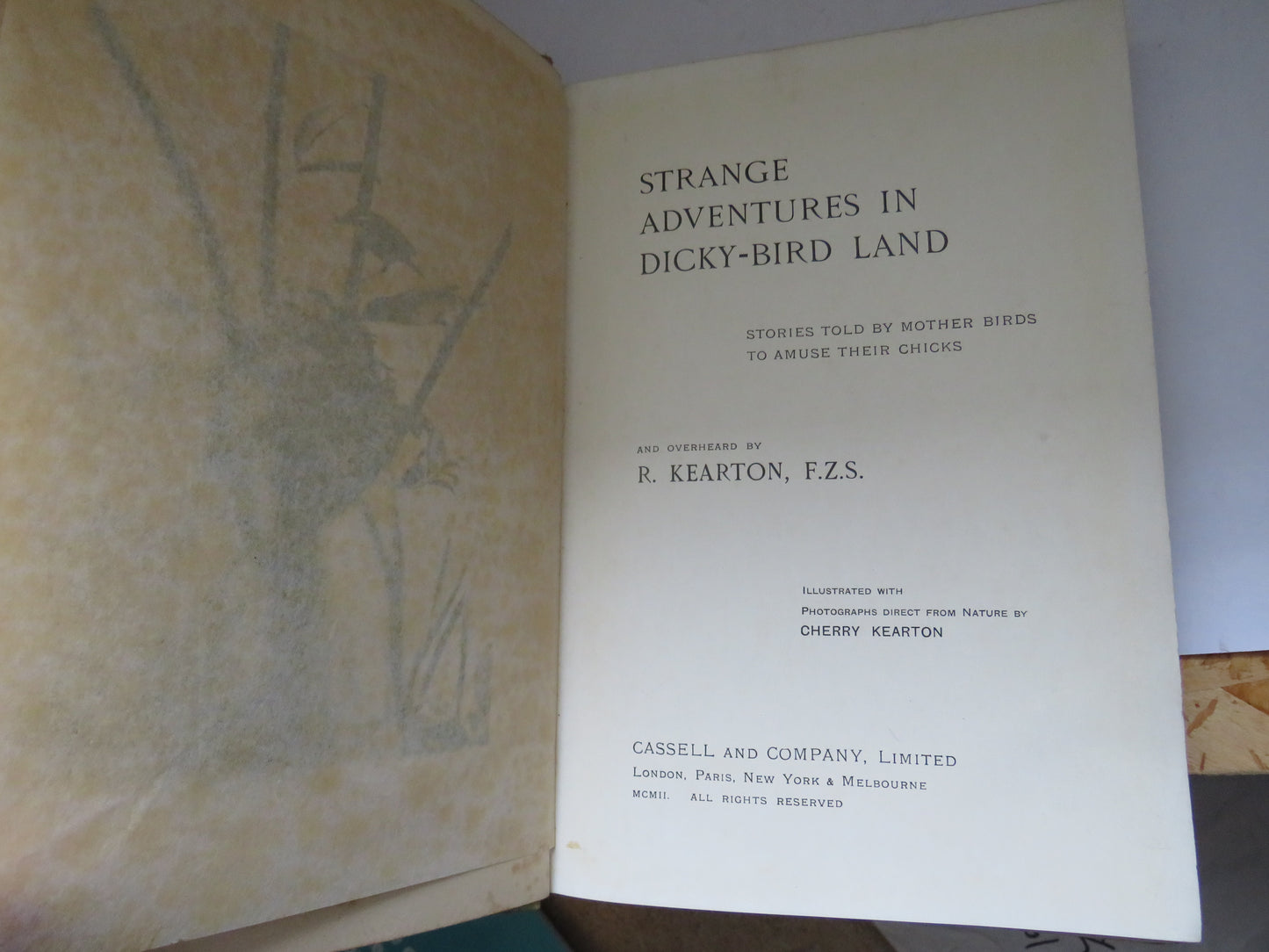 Strange Adventures In Dicky-Bird Land Stories Told By Mother Birds To Amuse Their Chicks and Overheard By R. Kearton 1902