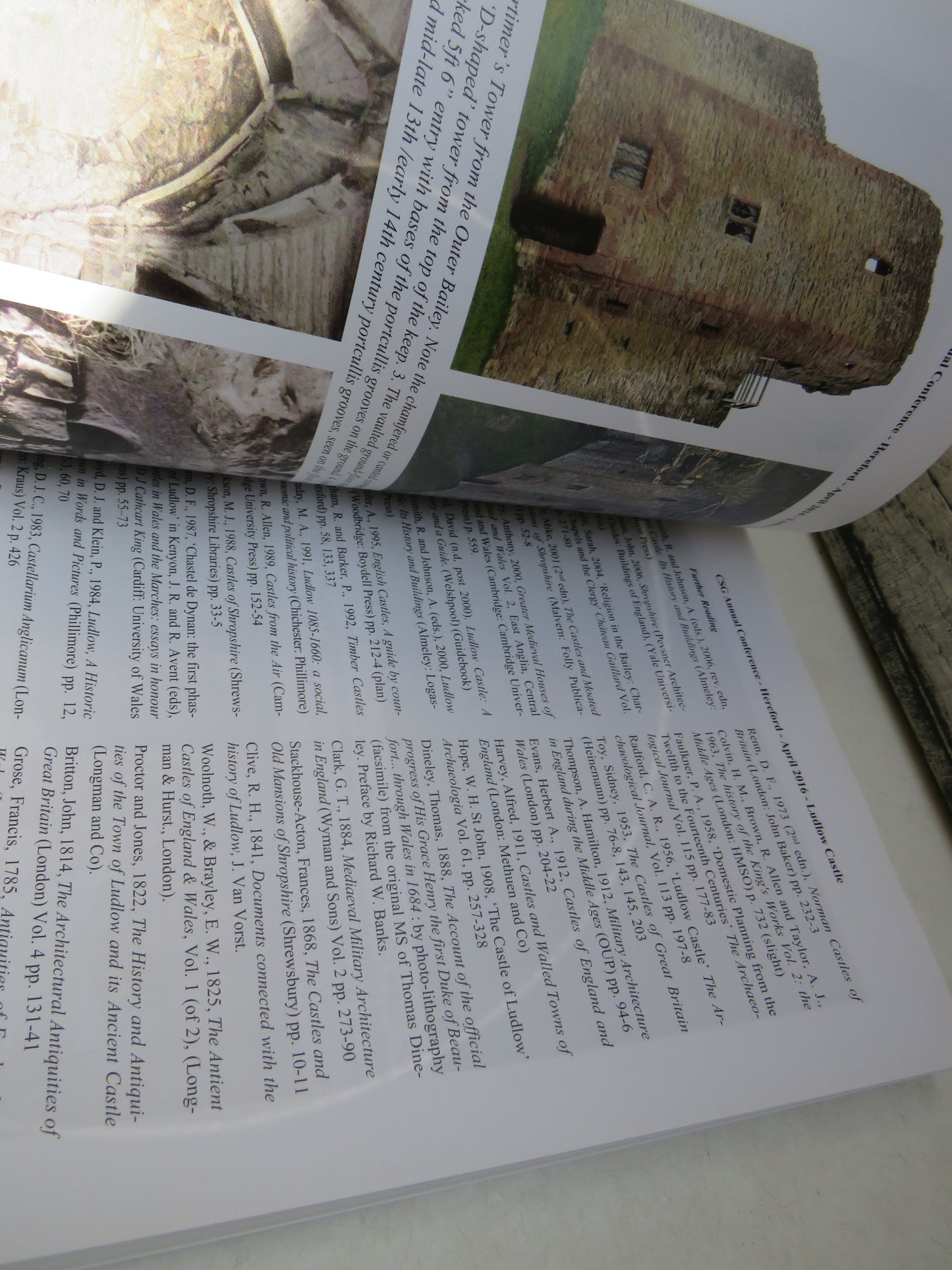 The Castle Studies Group Journal No 30 2016-17