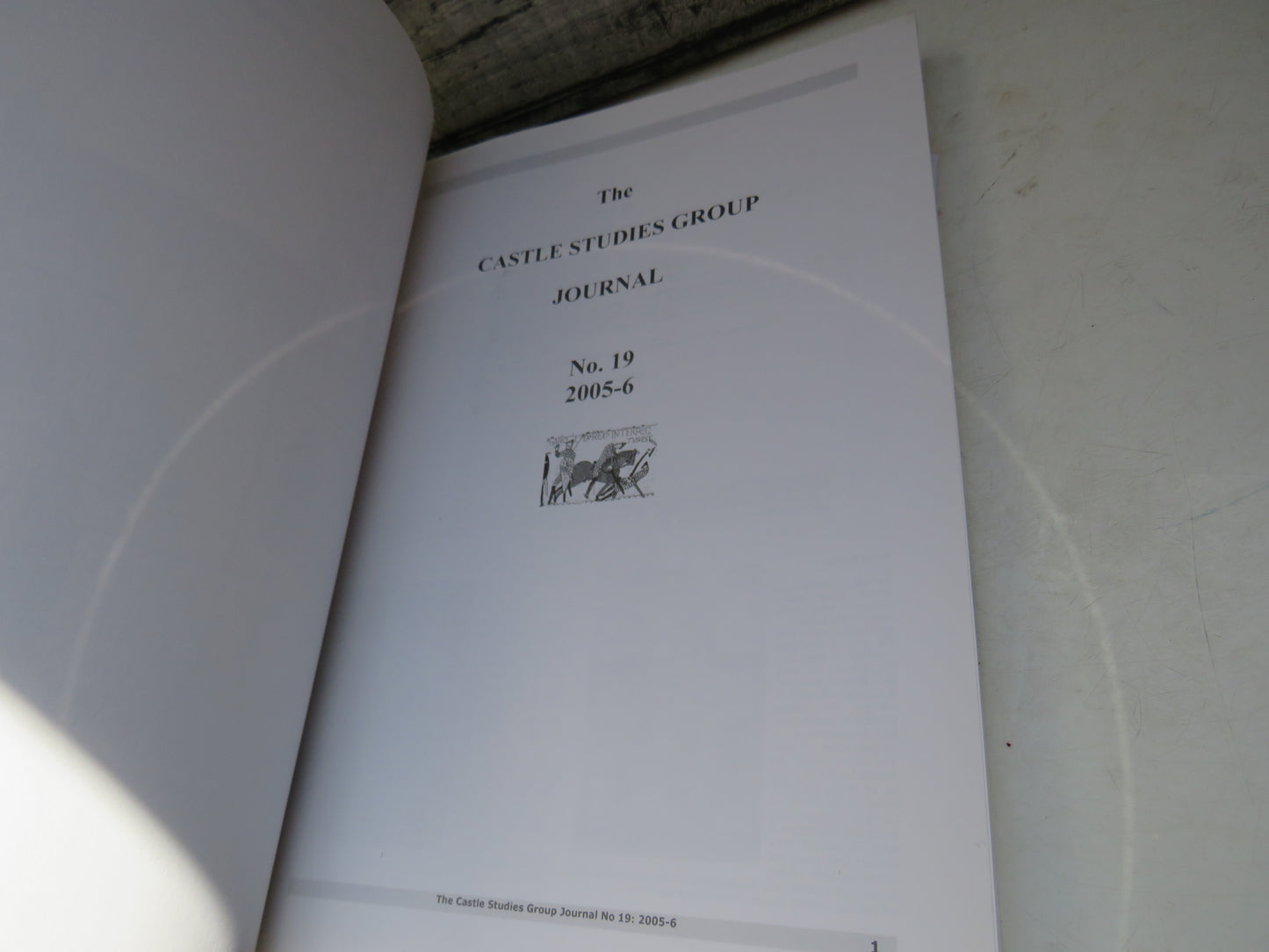 The Castle Studies Group Journal No 19 2006
