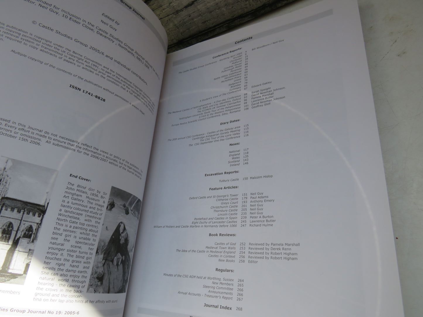 The Castle Studies Group Journal No 19 2006