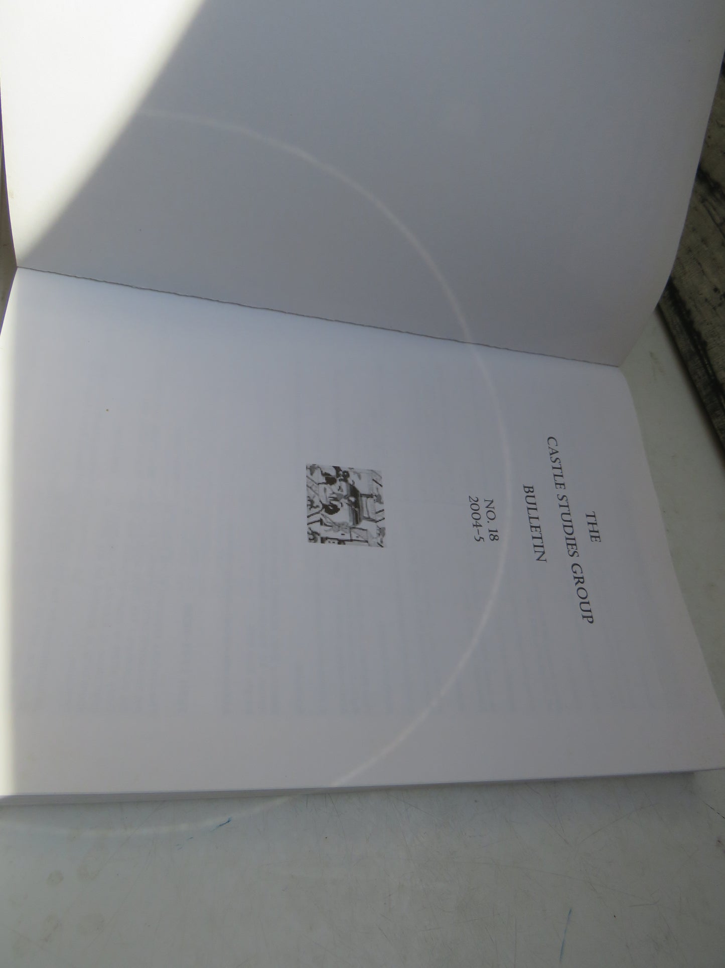 The Castle Studies Group Bulletin No.18 2004-5