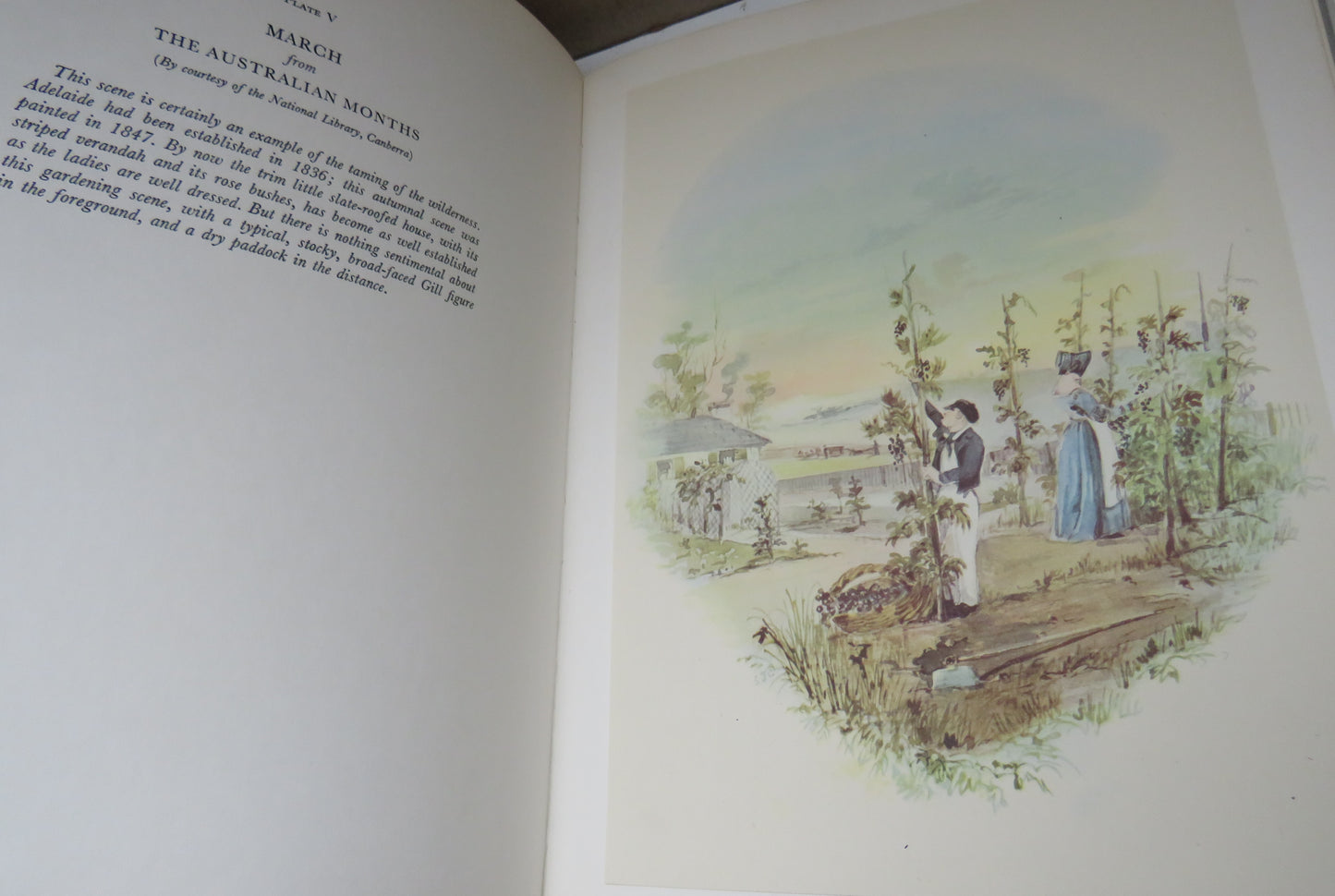 Paintings of S.T. Gill With an Introduction and Commentaries by Geoffrey Dutton 1962