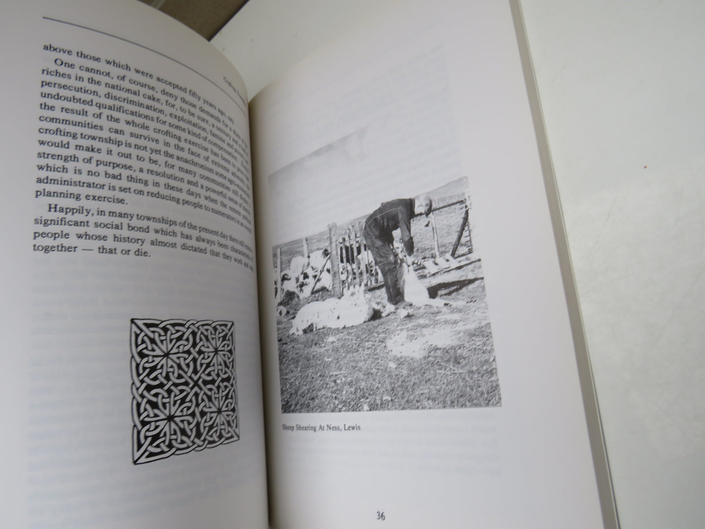 Crofting Years by Francis Thompson, 1991