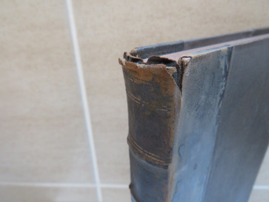 The Reliquary Quarterly Archaeological Journal and Review A Depository For Precious Relics-Legendary Biographical and Historical Vol VII 1893