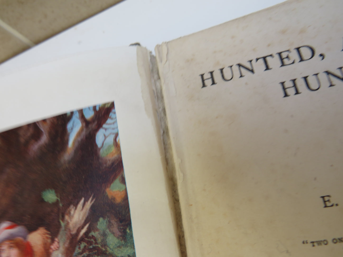 Hunted, and the Hunter By E.E. Cowper