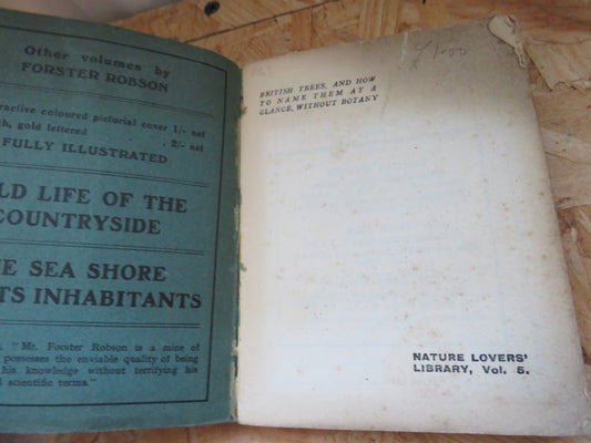 British Trees and How To Name Them At A Glance, Without Botany By Forster Robson