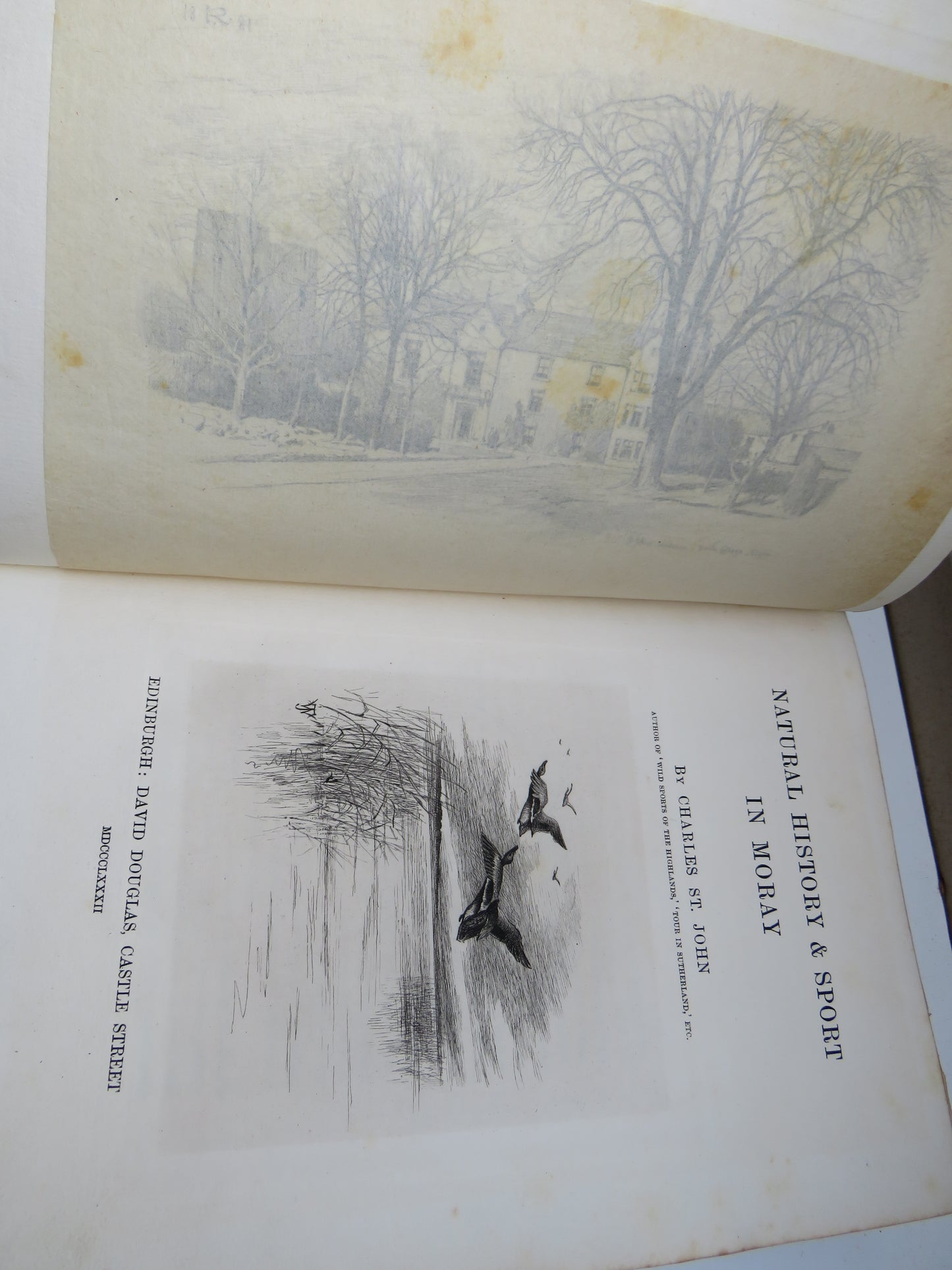 Natural History & Sport In Moray By Charles St. John 1882 Antique Book