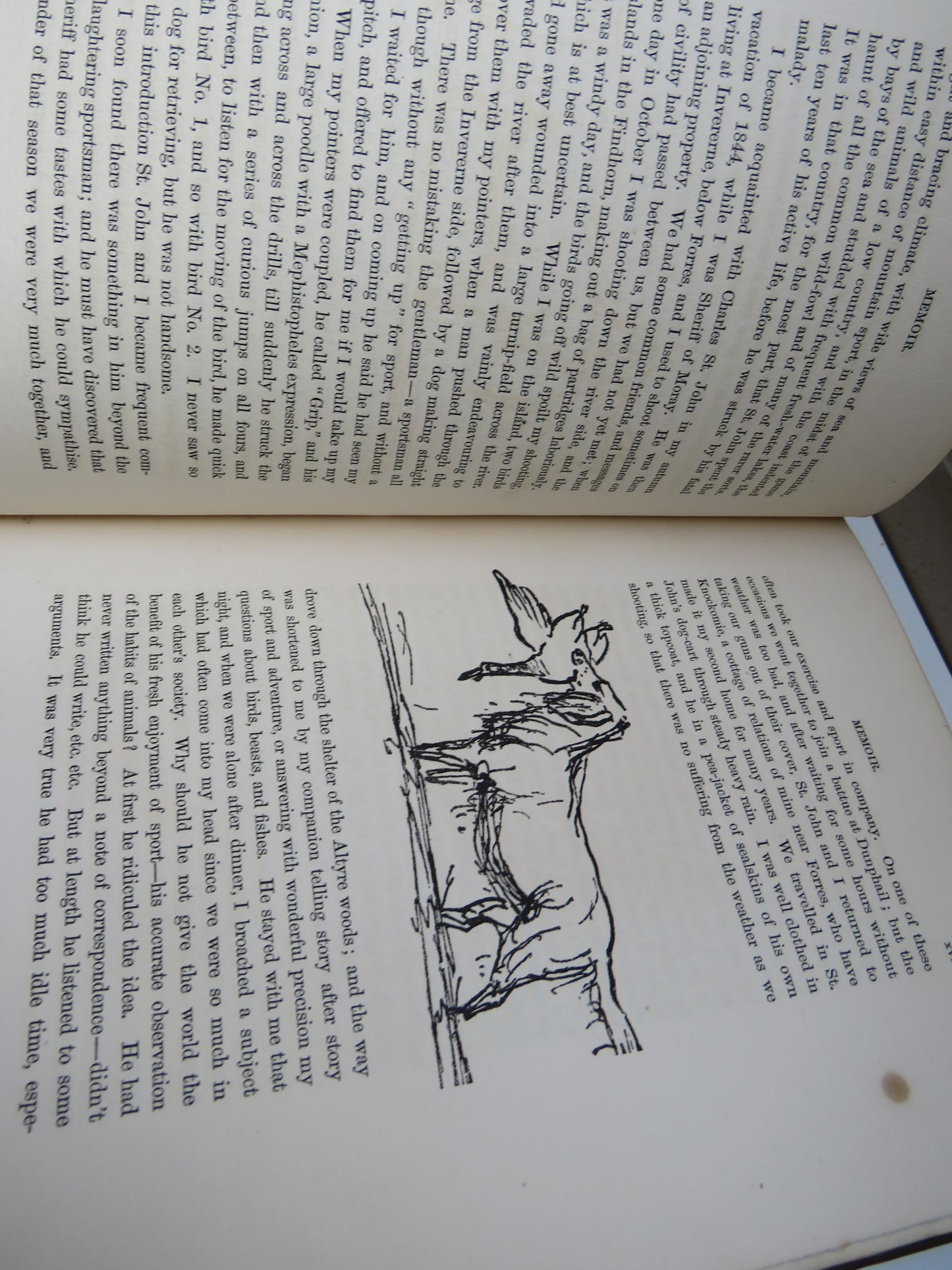 Natural History & Sport In Moray By Charles St. John 1882 Antique Book