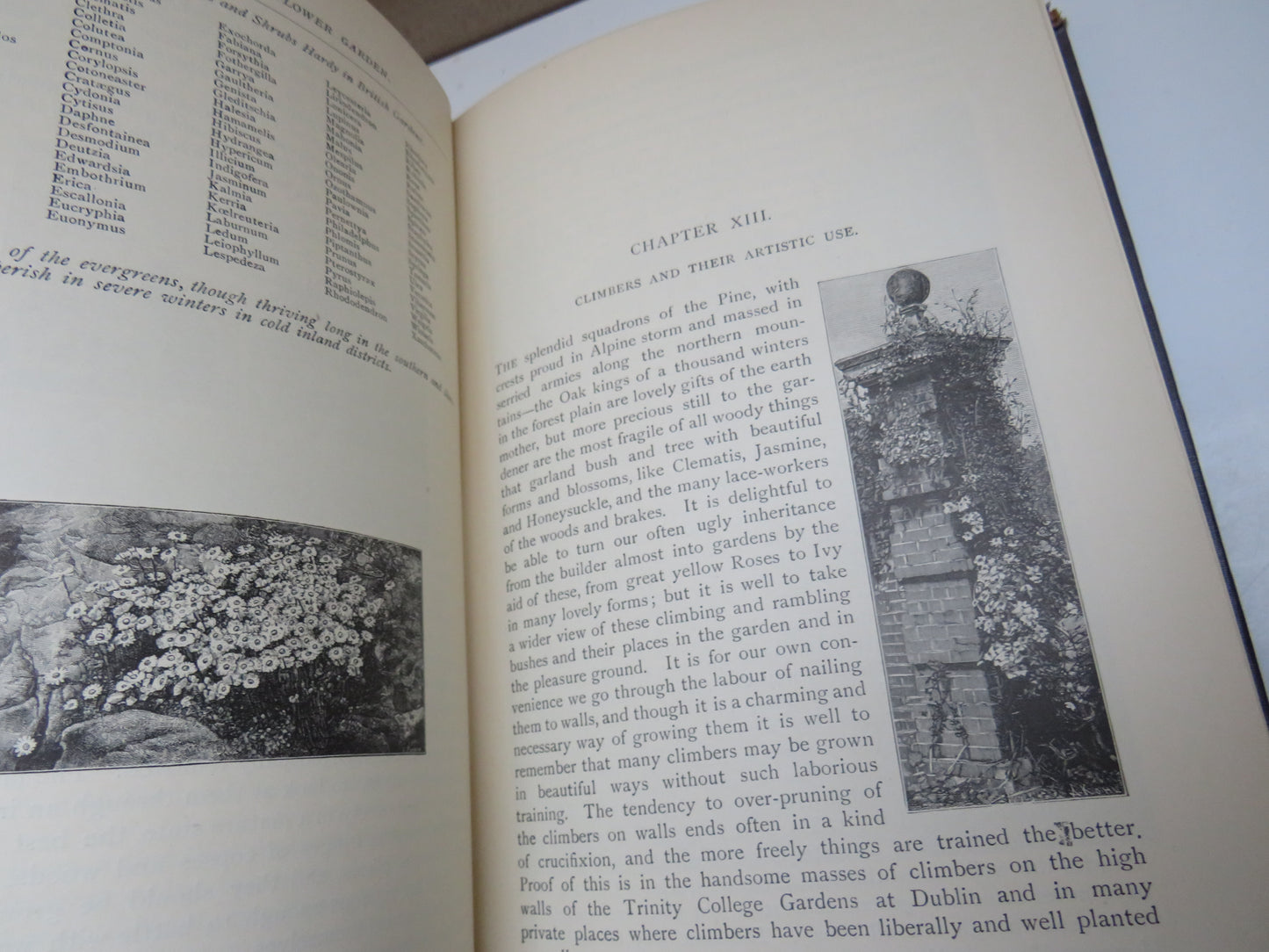The English Flower Garden and Home Grounds of Hardy Trees and Flowers Only By W. Robinson With Engravings of Wood 14th Edition 1926