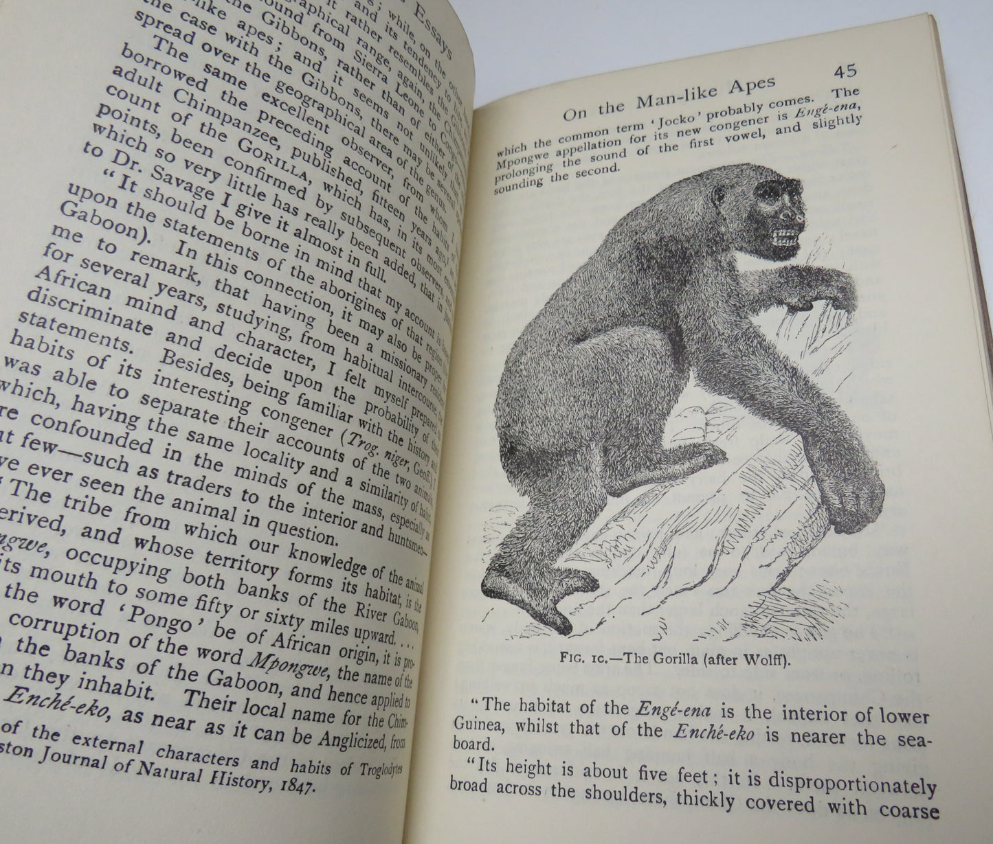 Man's Place In Nature and Other Essays By Thomas Henry Huxley 1933