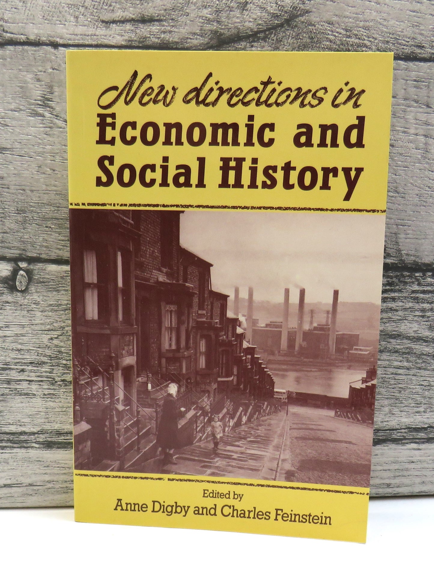 New Directions In Economic and Social History Edited by Anne Digby and Charles Feinstein 1989
