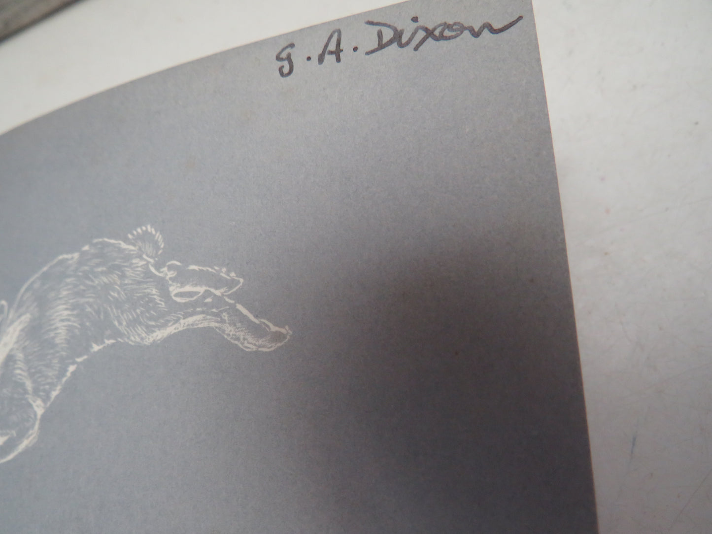 Seal Morning By Rowena Farre 1957