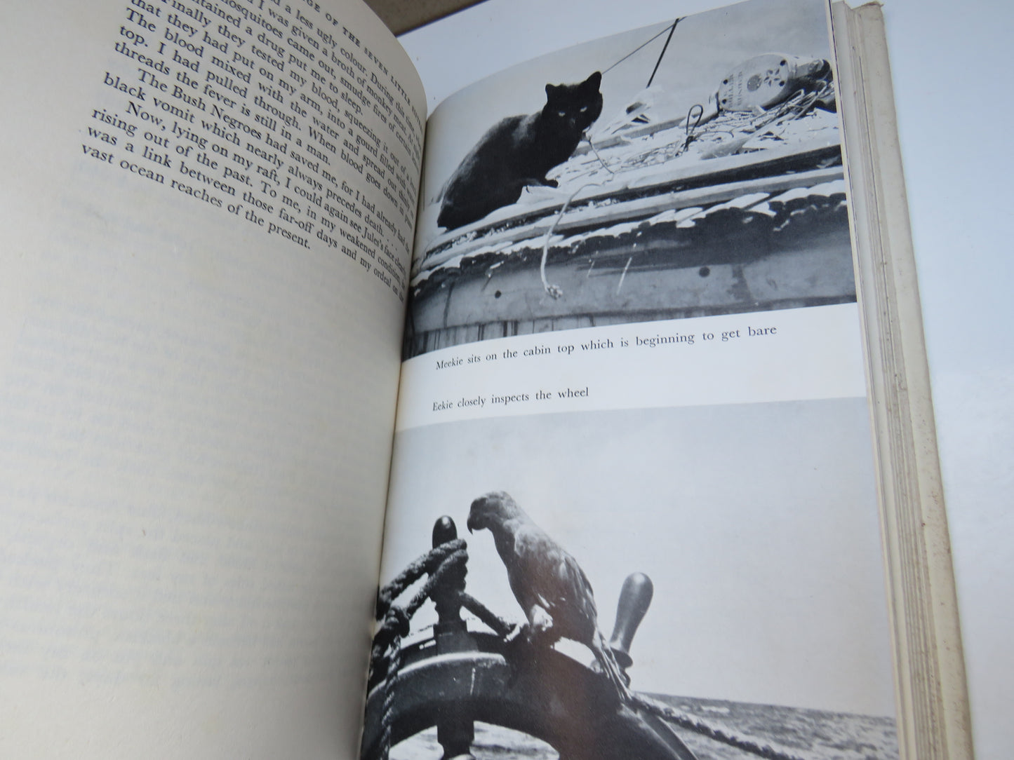 The Epic Voyage of the Seven Little Sisters A 6700 Mile Voyage Alone Across The Pacific By William Willis 1956