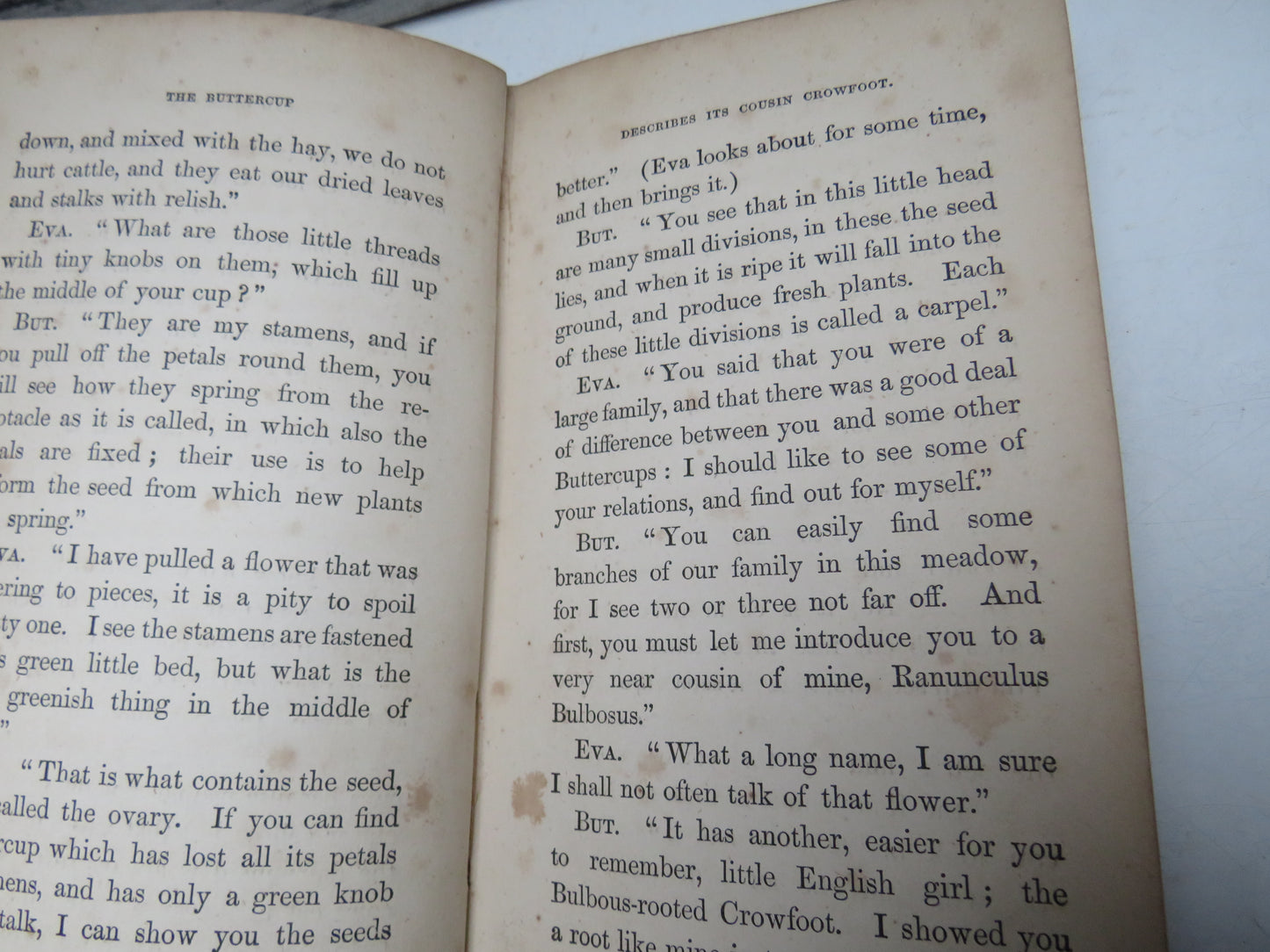 Eva and Her Playfellows A Book of Entertainment For The Young By C. M. Smith