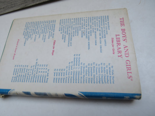 White Holiday By Viola Bayley