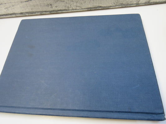 Icelandic Patterns in Needlepoint, Over 40 easy-to-stitch designs from the Land of Ice and Fire, by Jona Sparey, 1993