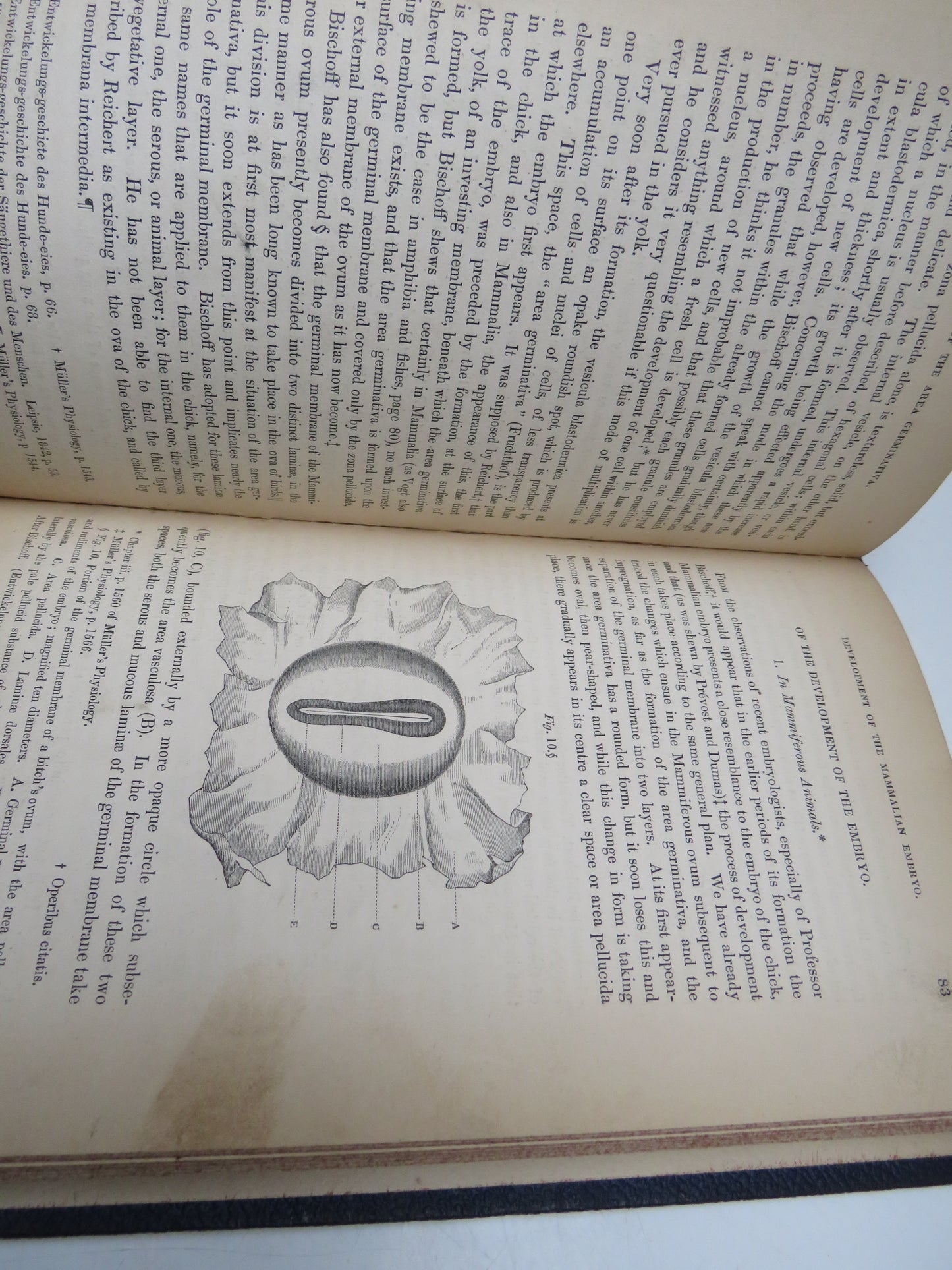 Recent Advances In The Physiology of Motion The Senses, Generation, and Development By William Baly 1848 Antique Book