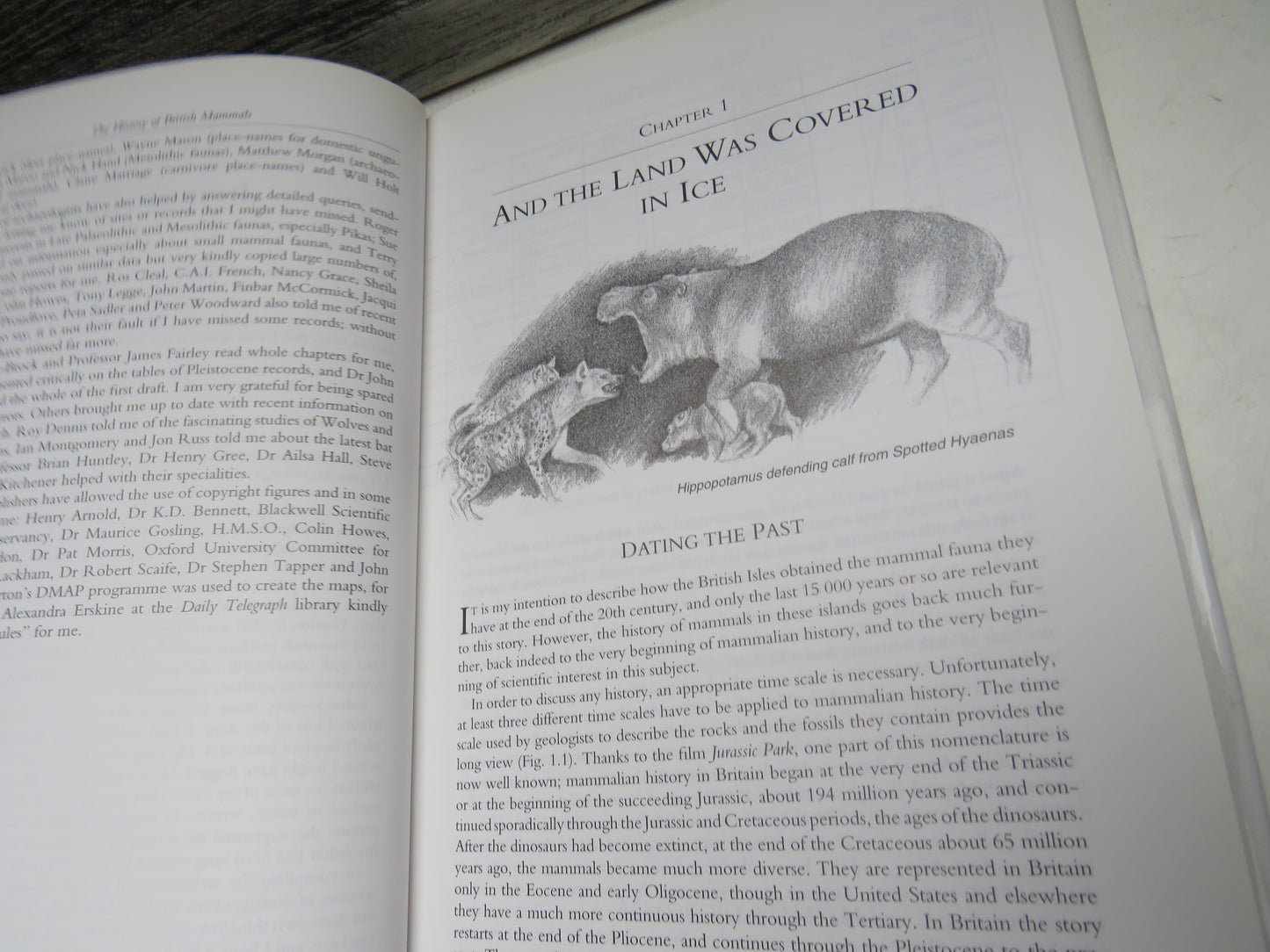 The History of British Mammals By Derek Yalden Illustrated By Priscilla Barrett and the Author 1999