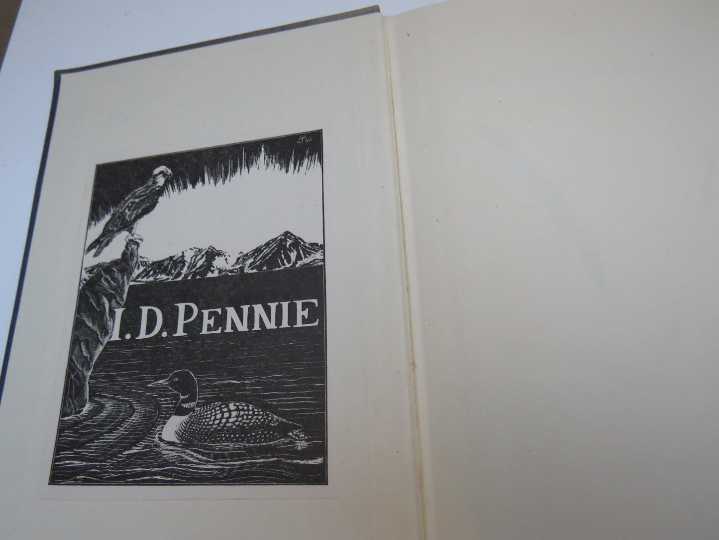 Wandering Albatross Adventures Among The Albatrosses and Petrels In The Southern Ocean By L. Harrison Matthews 1951