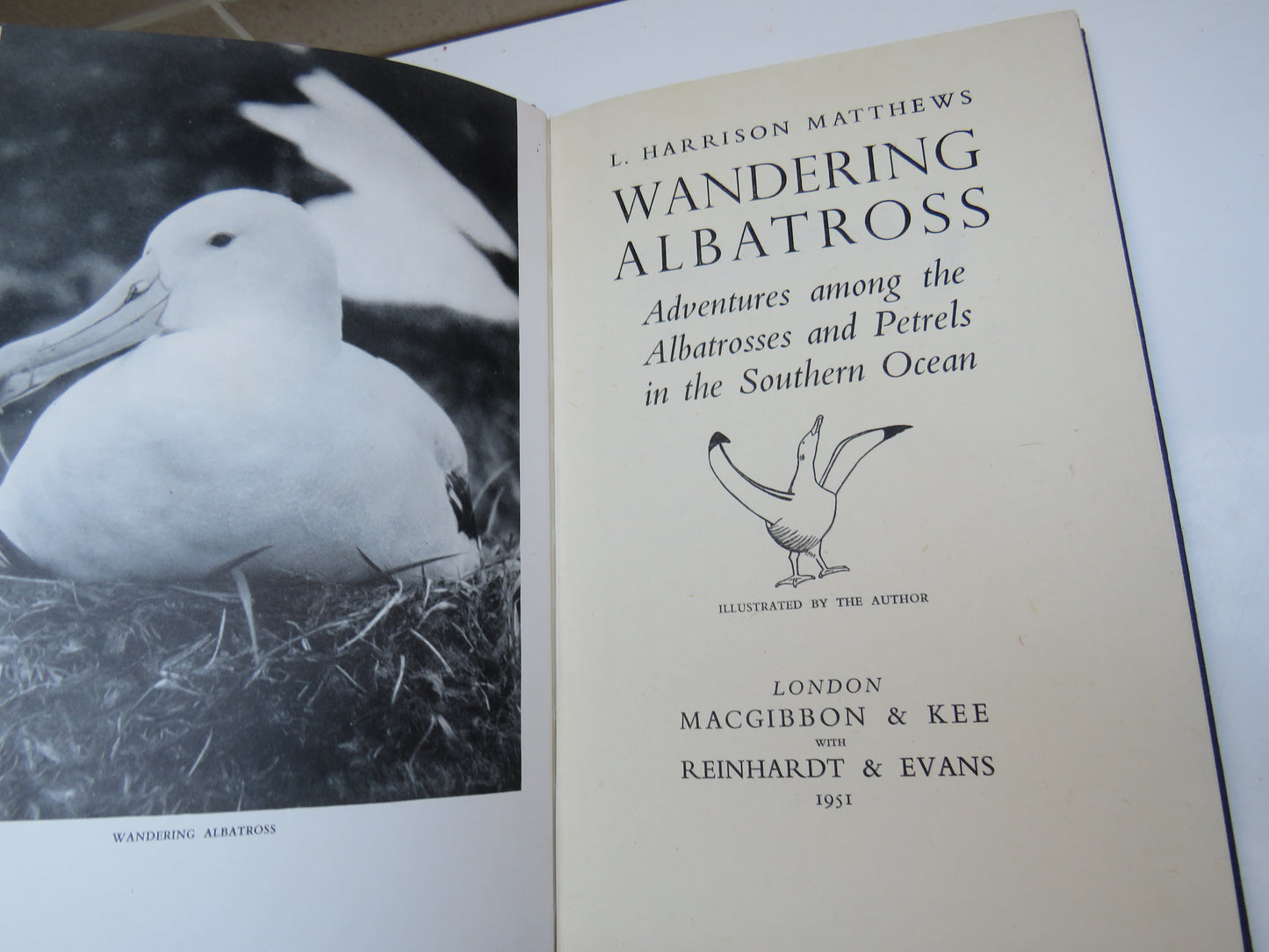 Wandering Albatross Adventures Among The Albatrosses and Petrels In The Southern Ocean By L. Harrison Matthews 1951
