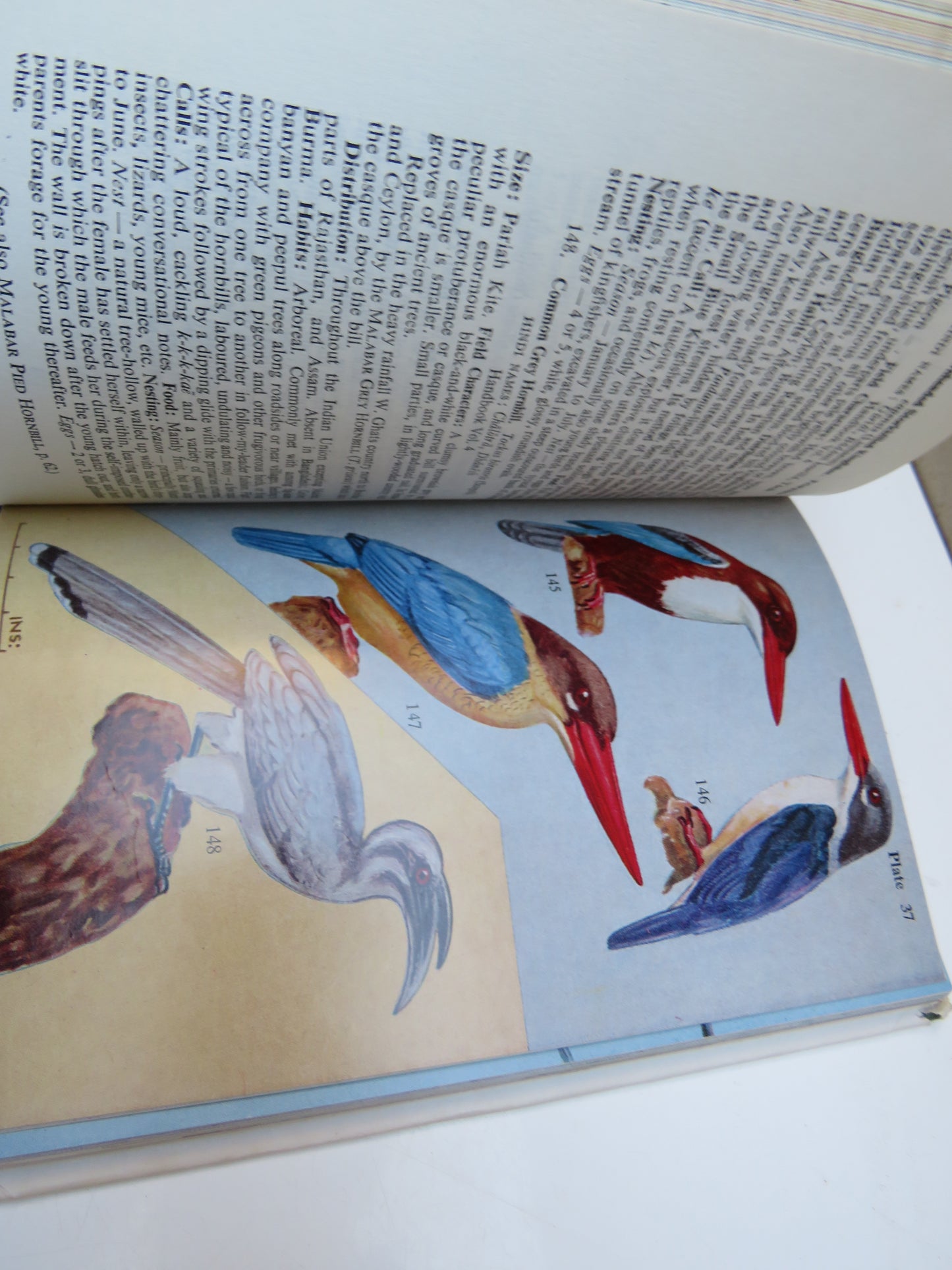The Book of Indian Birds by Salim Ali 1979