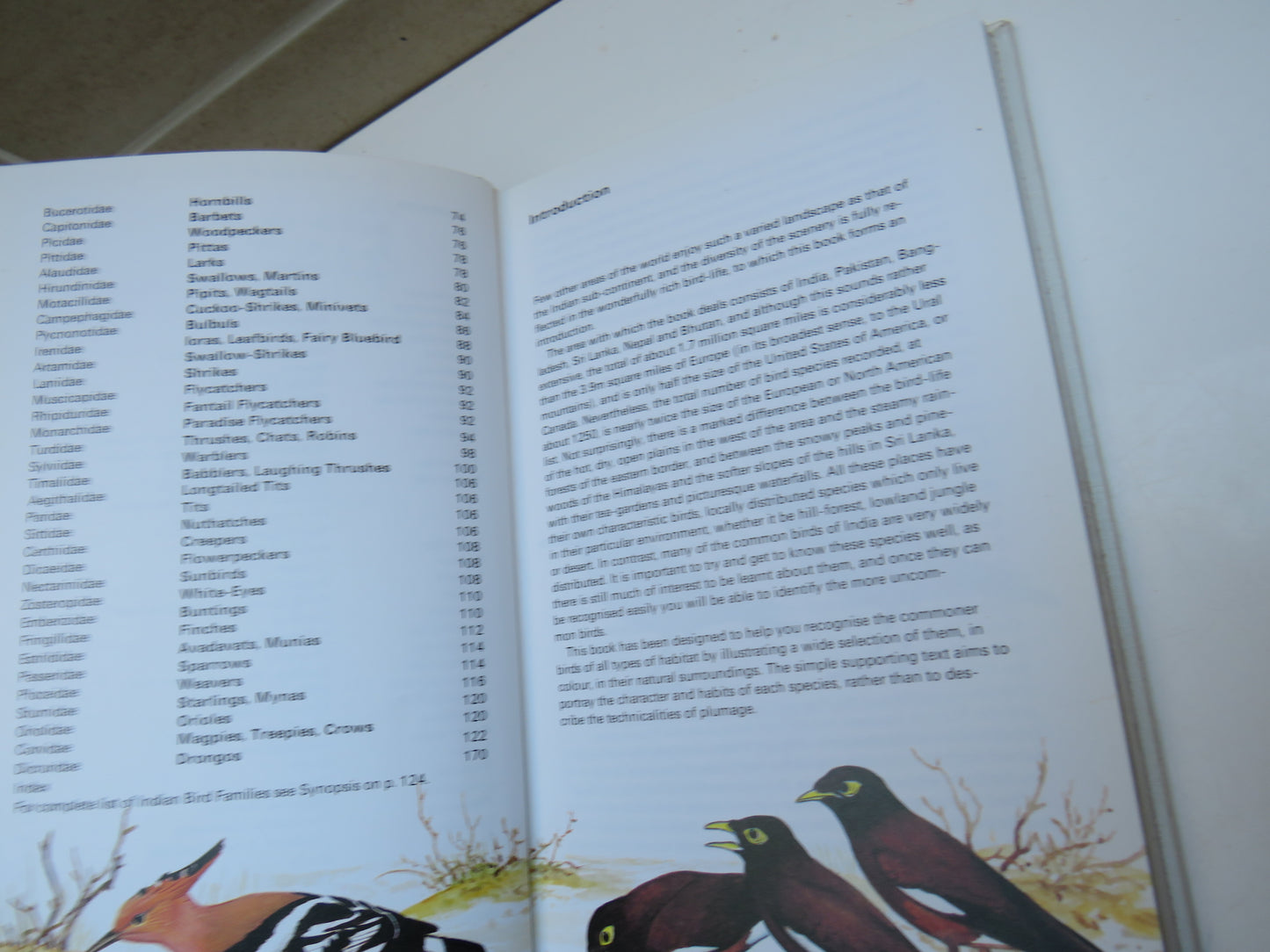 Collins Handguide To The Birds of the Indian Sub-Continent 1980