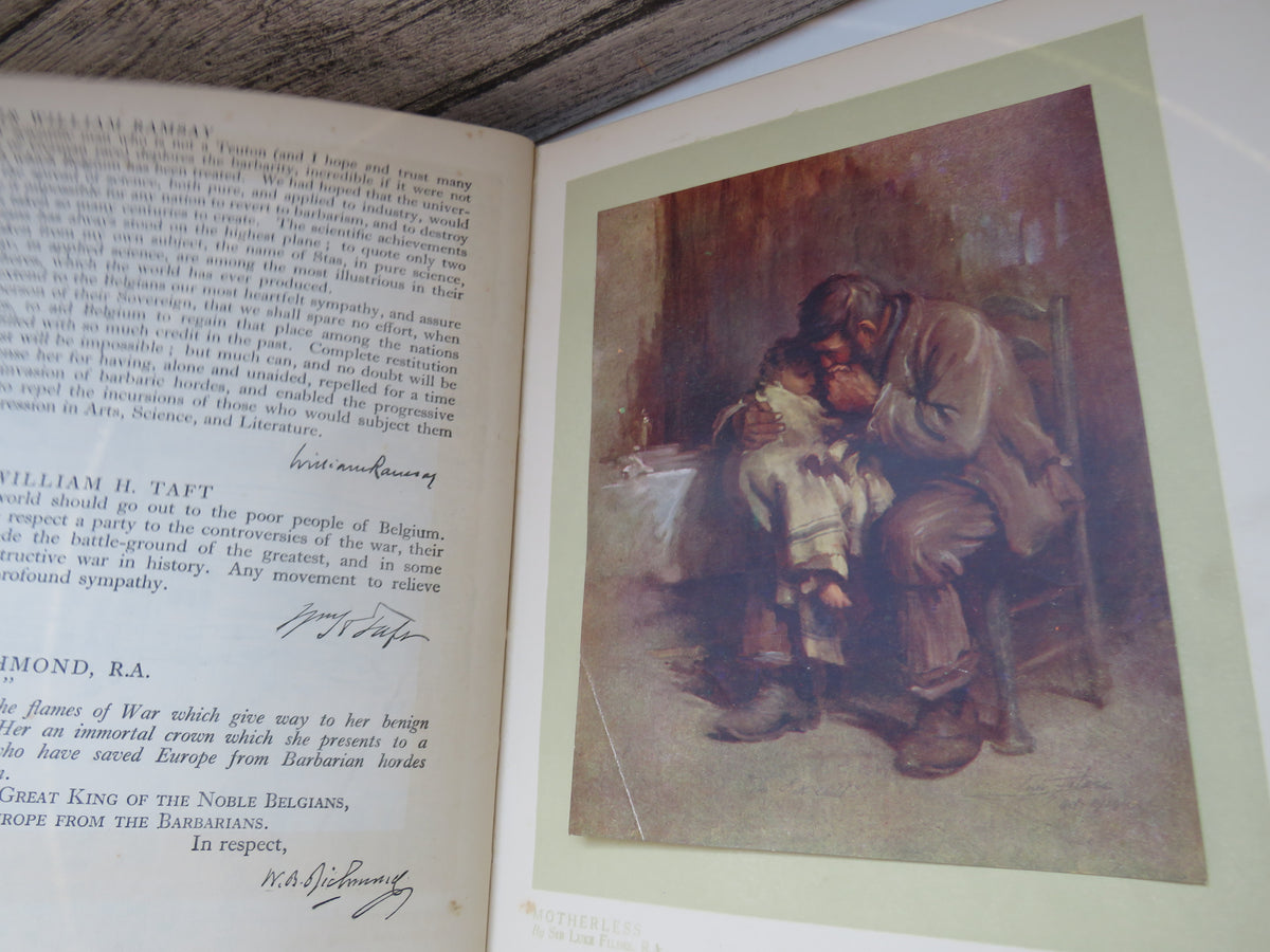 King Albert's Book A Tribute To The Belgian People From Representative Men and Women Throughout The World (Copy)