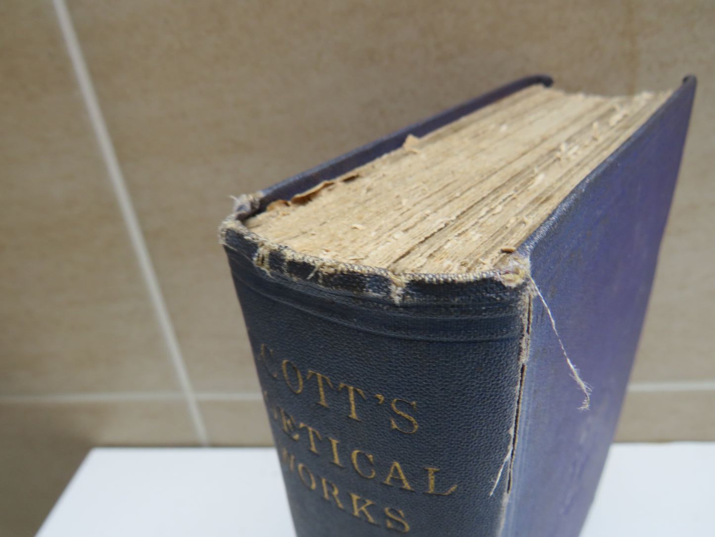 The Poetical Works of Sir Walter Scott