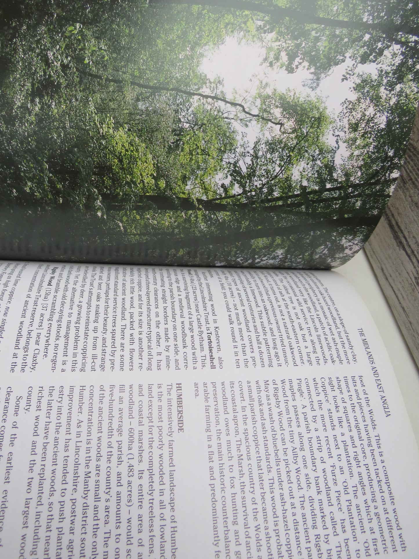 The Wild Woods A Regional Guide To Britain's Ancient Woodland By Peter Marren 1992