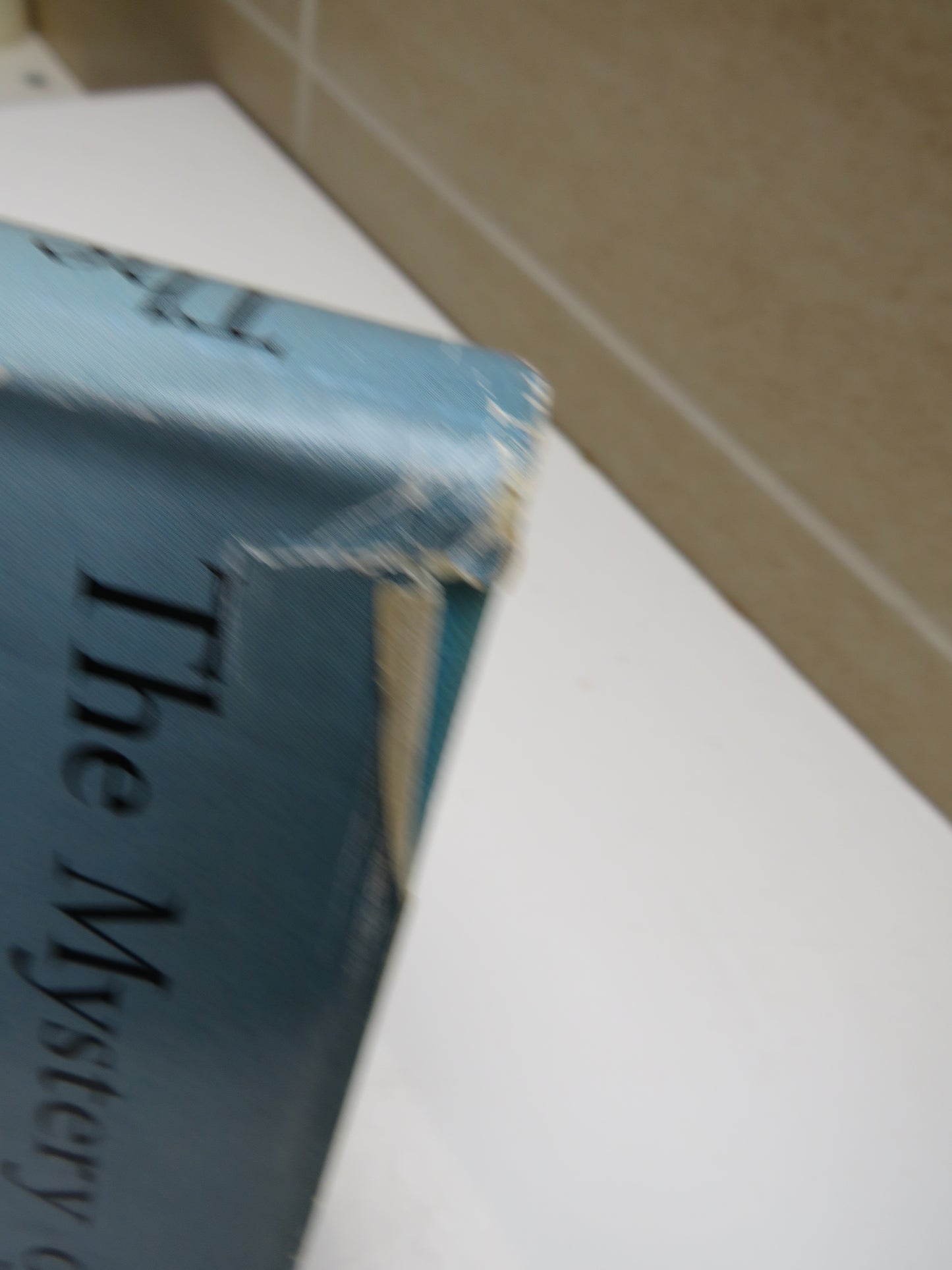 The Mystery of the Flamingos by Leslie Brown 1959 1st Edition