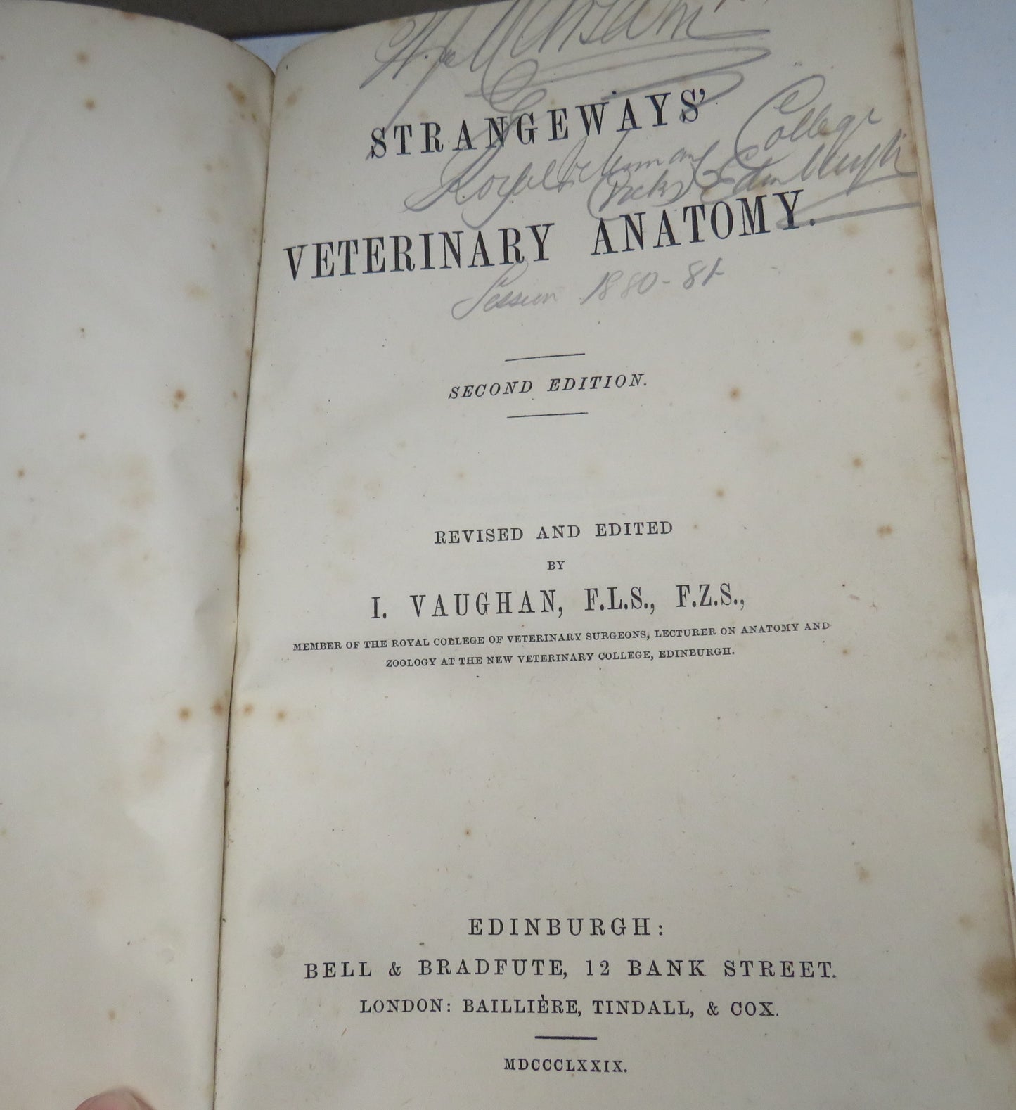 Strangeways' Veterinary Anatomy by I. Vaughan, 1879