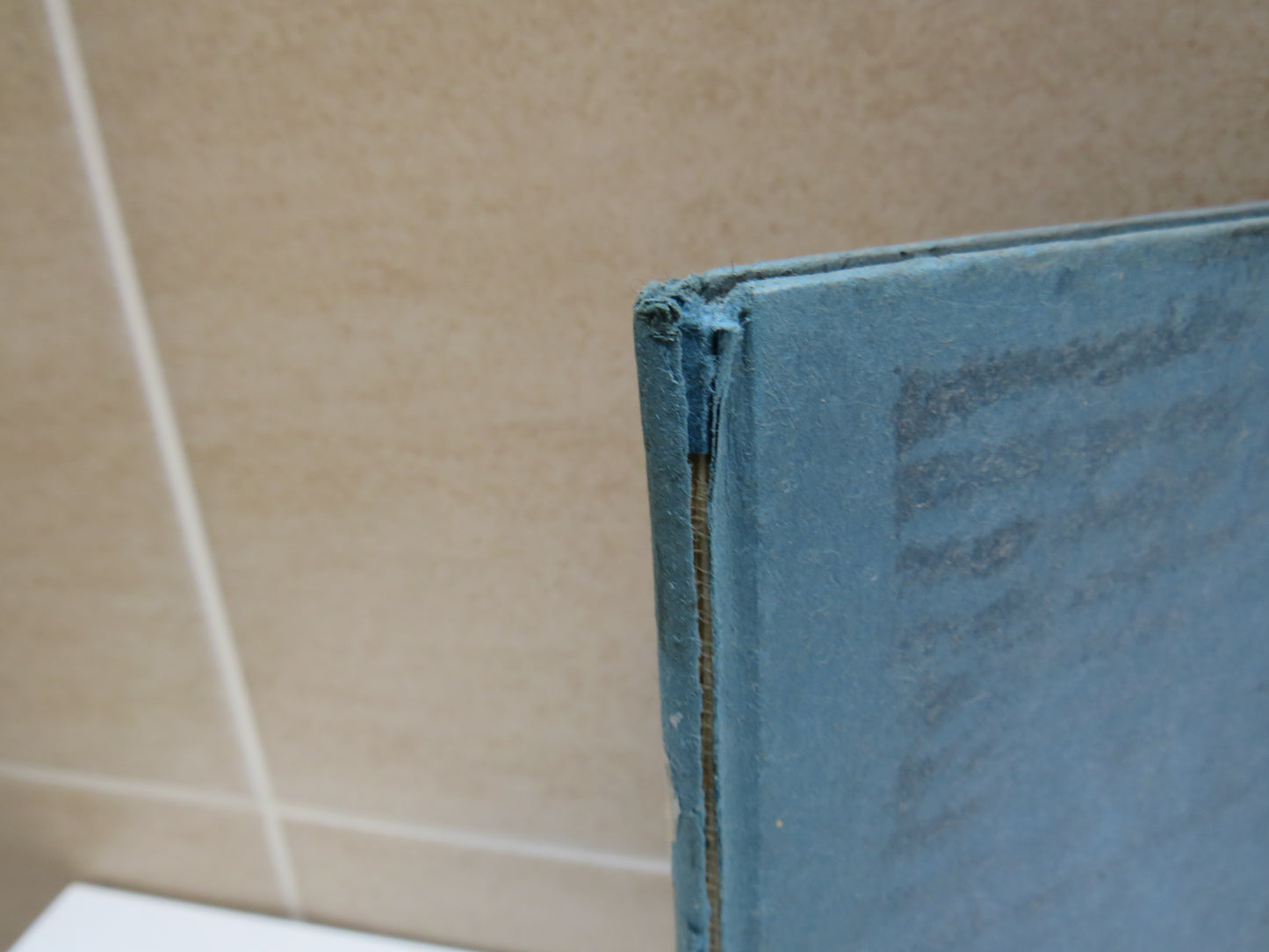 Verses By Viola Meynell 1919 1st Edition