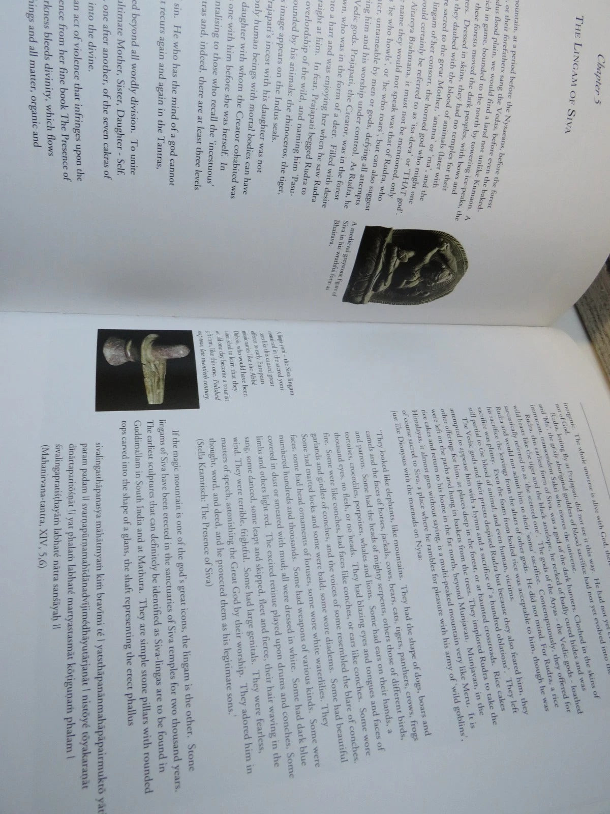 Tantra The Cult of Ecstasy by Indra Sinha, Book Image 7