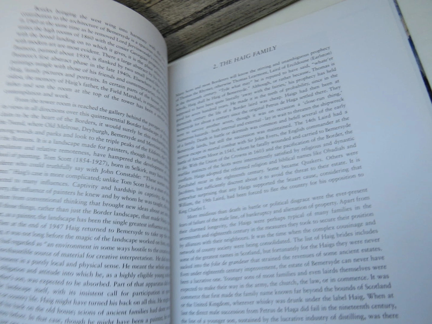 Haig The Painter by Douglas Hall, Book Image 5