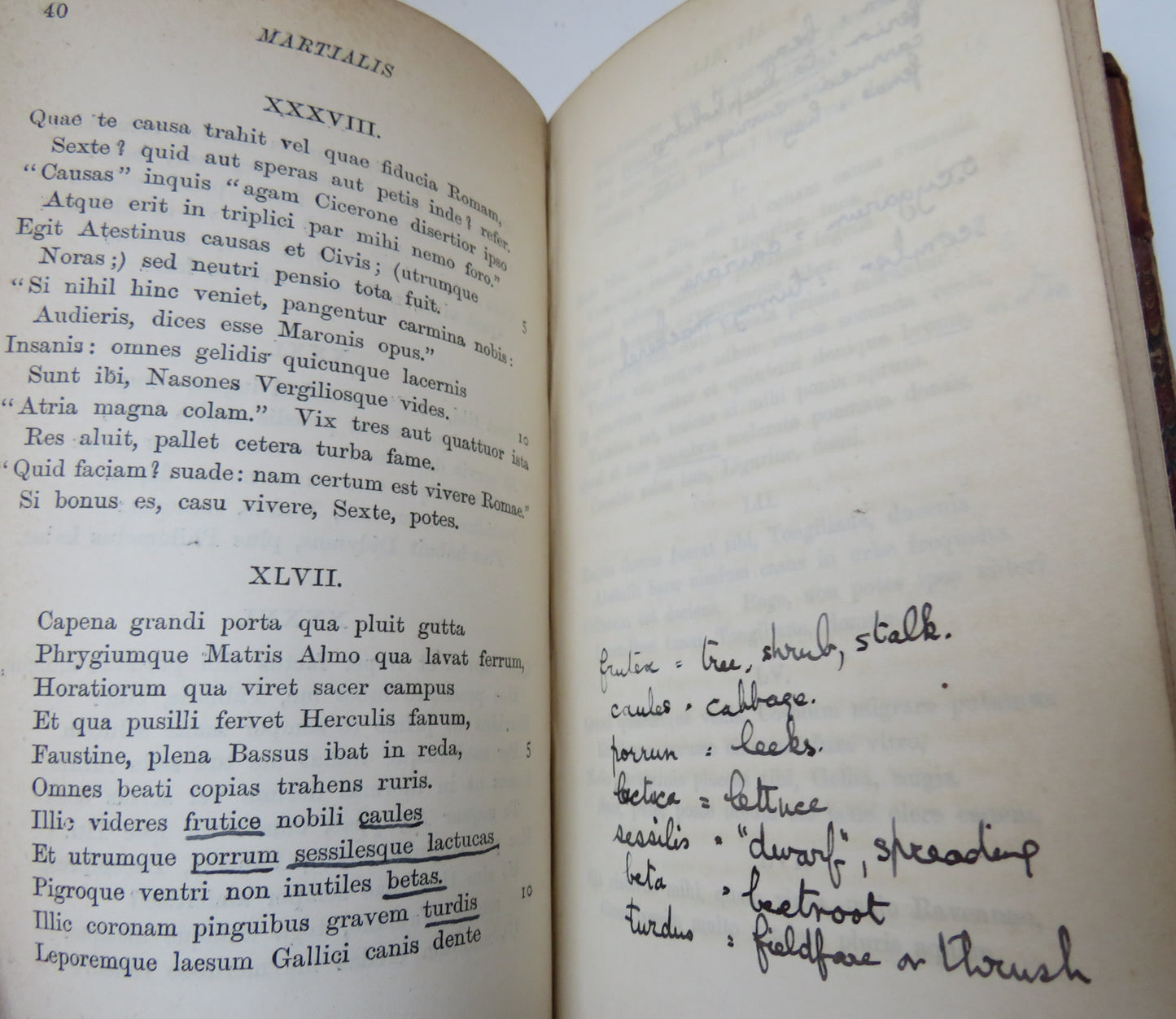 Selected Epigrams Of Martial By The Rev. H. M. Stephenson 1880
