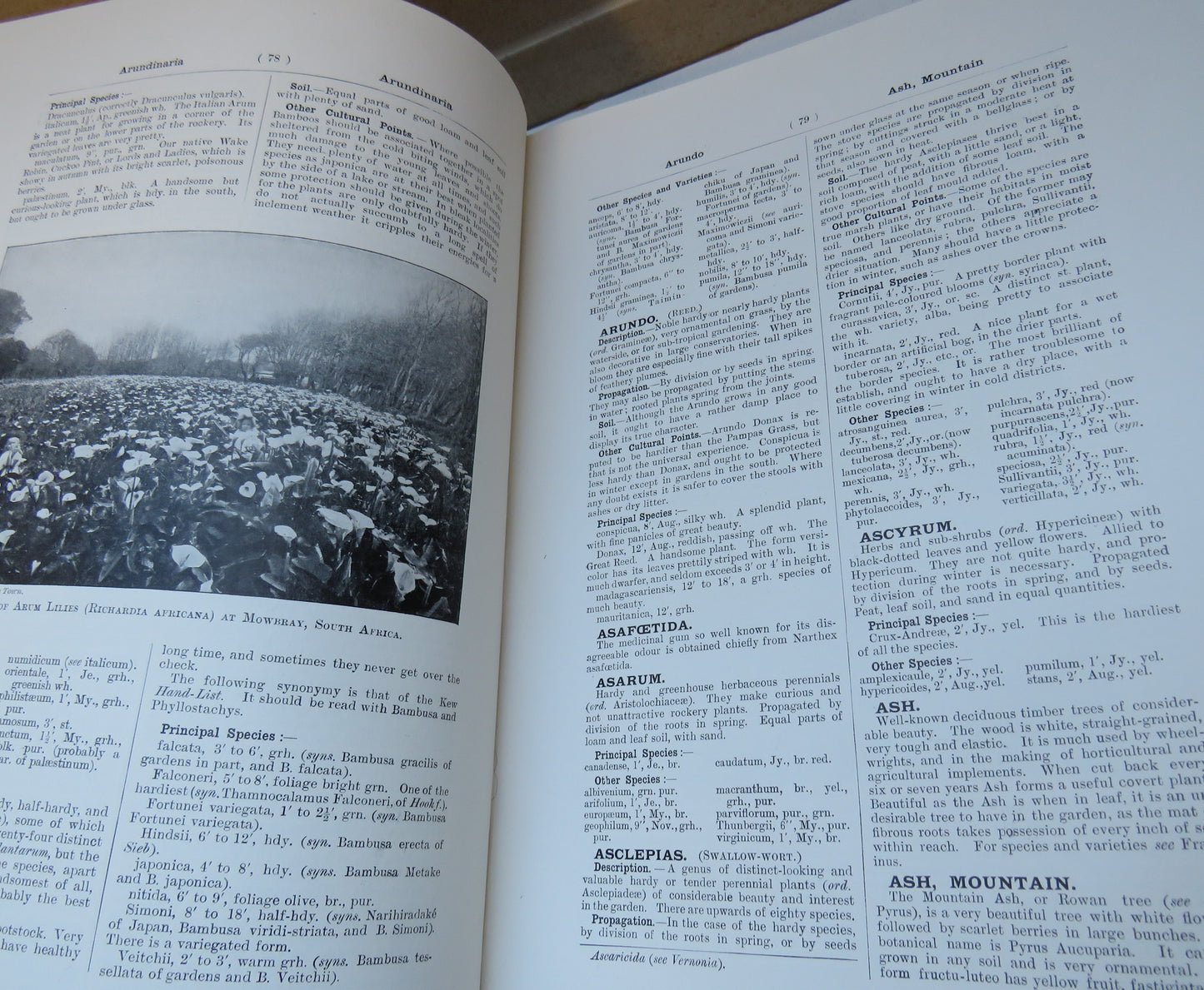 Cassell's Dictionary Of Practical Gardening Vol I & II An Illustrated Encyclopaedia