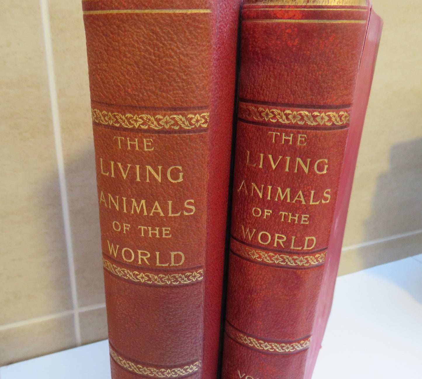 The Living Animals Of The World A Popular Natural History Vol I & II