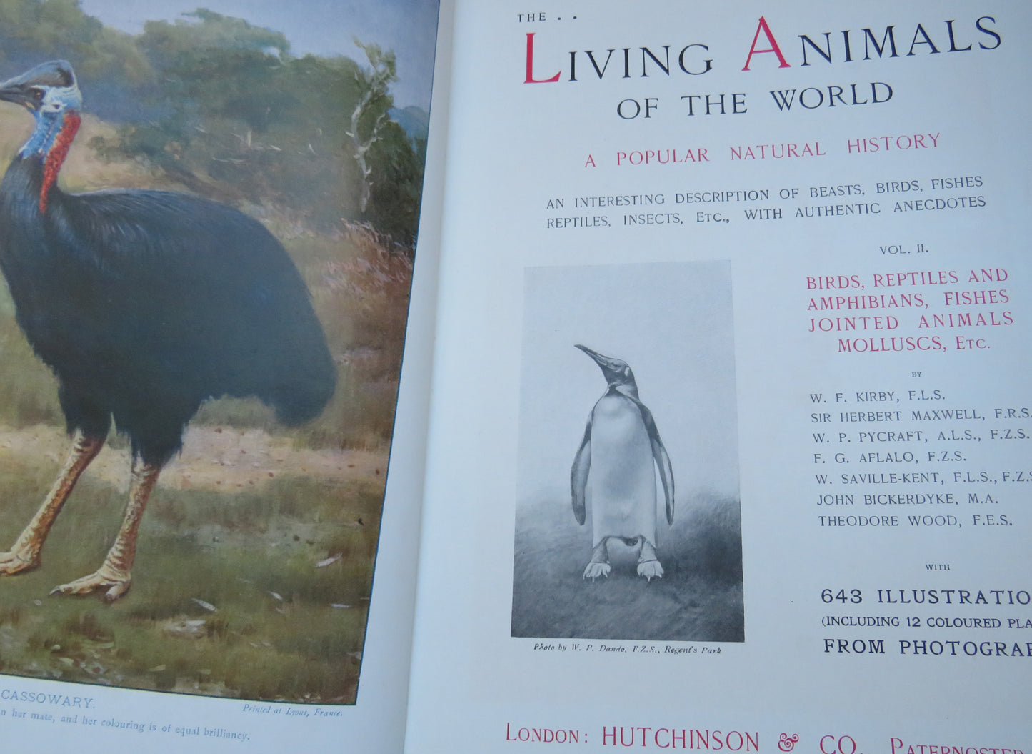 The Living Animals Of The World A Popular Natural History Vol I & II