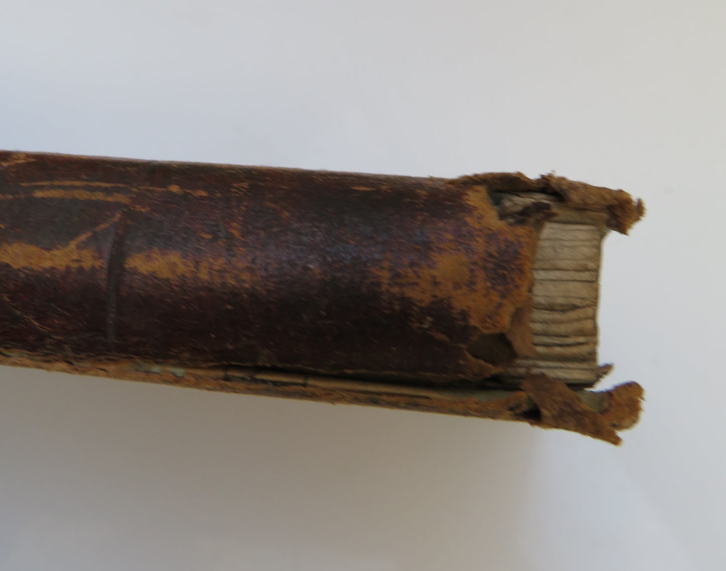 Comhnadh Arson Aoradh Teaghlaich Agus Urnuighean Diomhair 1829 Gaelic Book