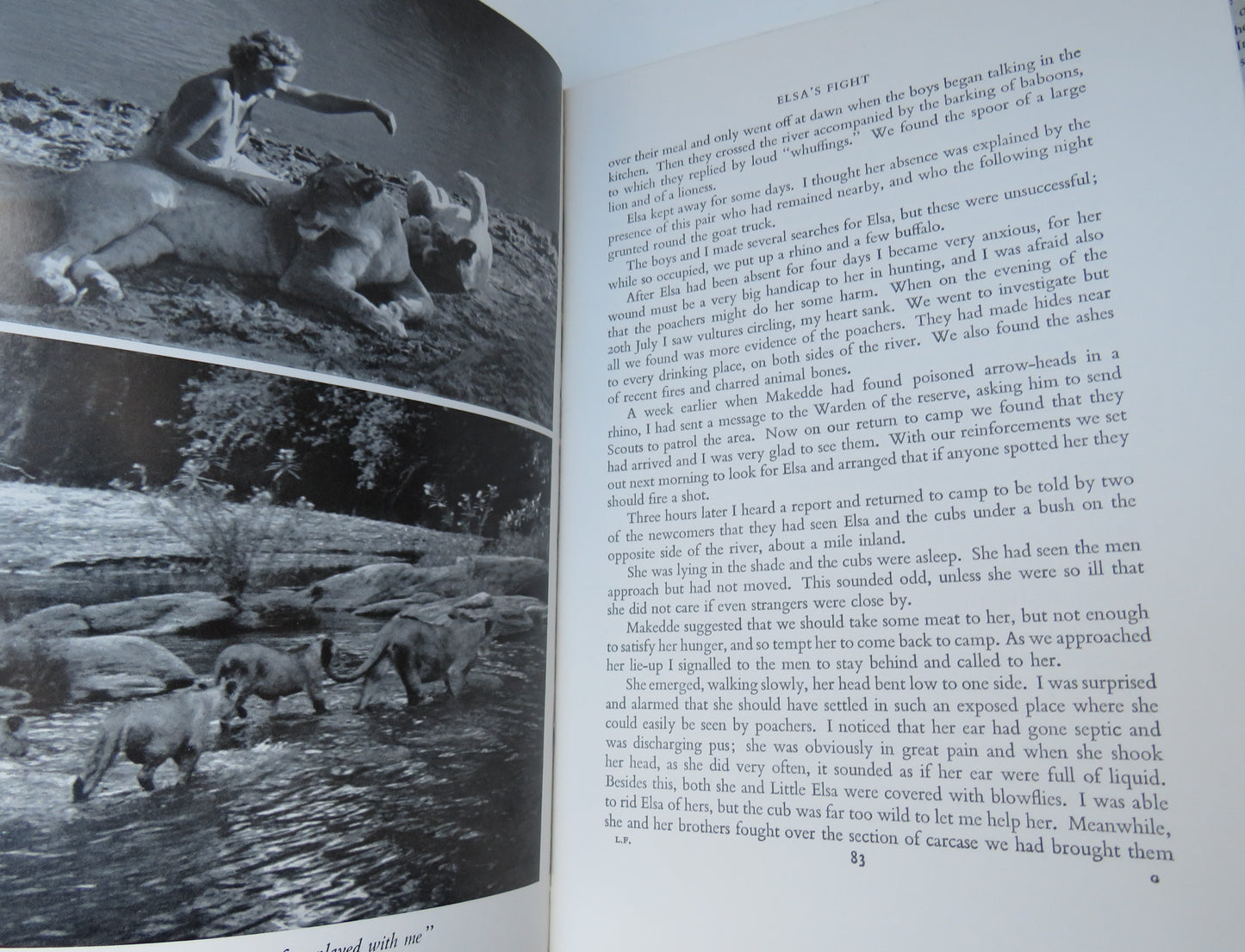 Living Free The Story Of Elsa and Her Cubs By Joy Adamson 1961