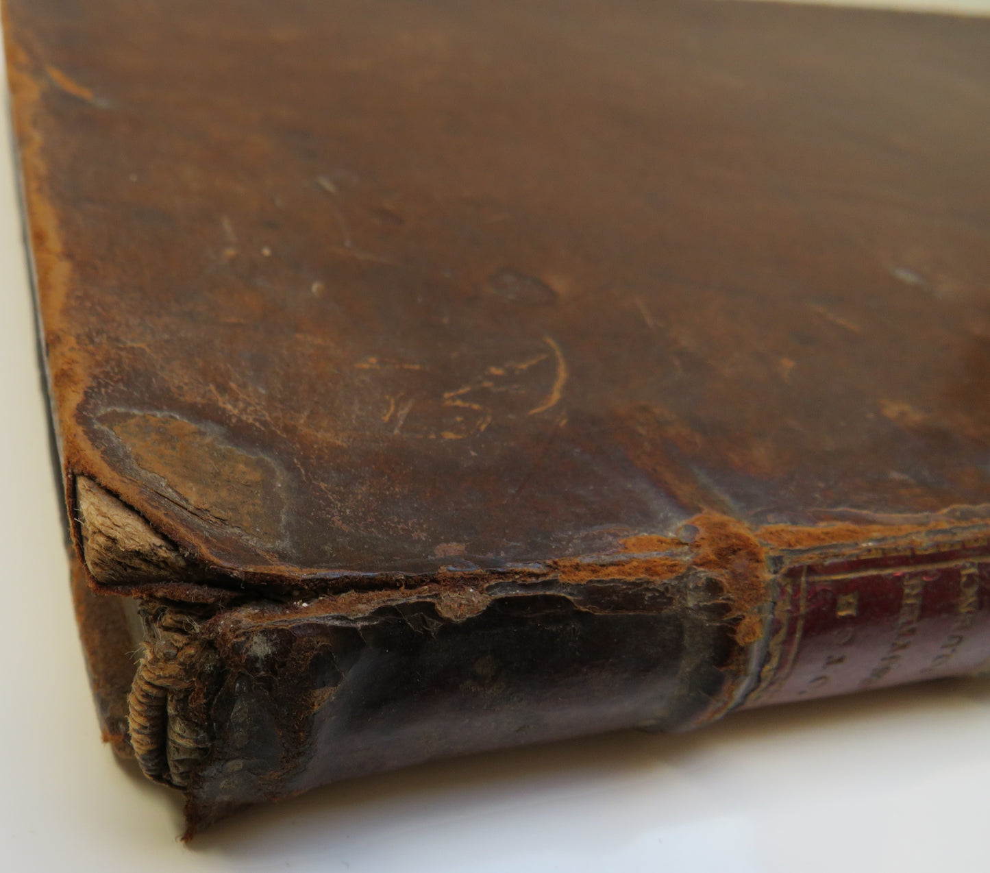 Scotch Presbyterian Eloquence Display'd Or The Folly Of Their Teaching Discover's From Their Books, Sermons, and Prayers : 1738