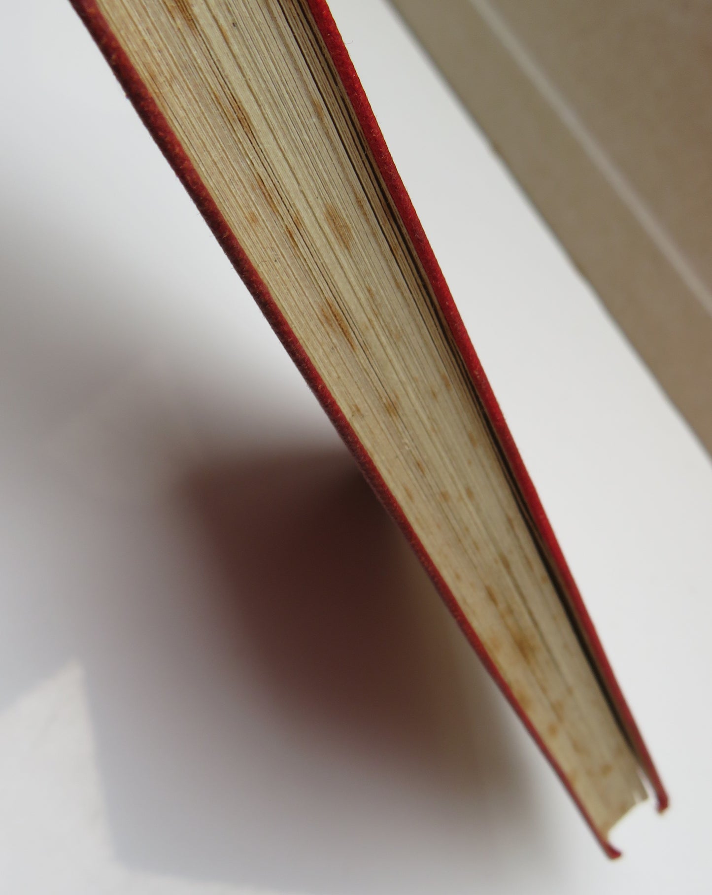 The Fire Was Bright By Leslie Kark 1943