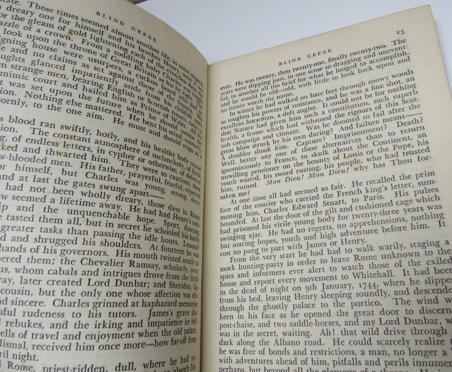 Blind Geese By Winifred Duke 1946