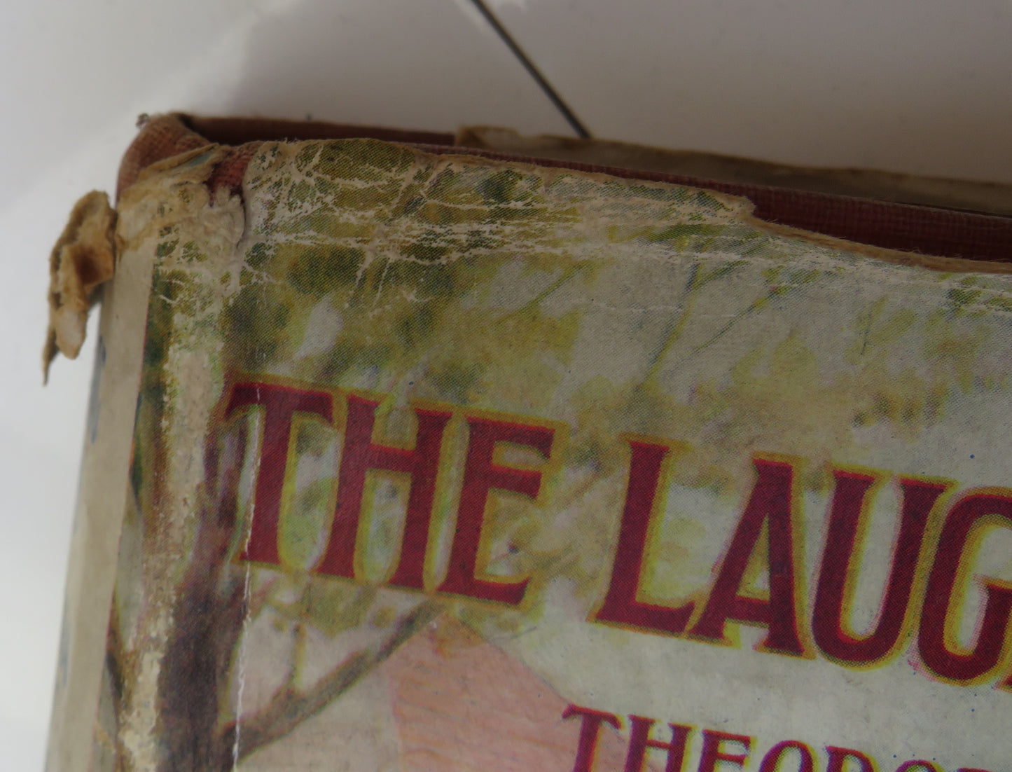 The Laughing Band By Theodora Wilson Wilson