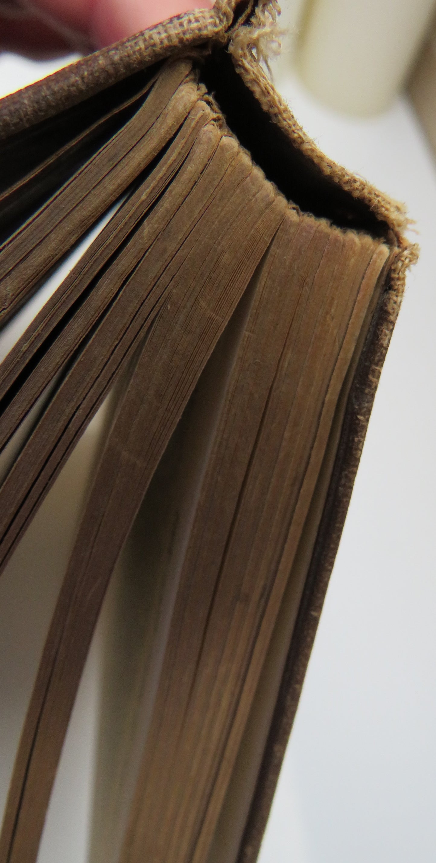 The Last Days Of Pompeii By Sir Edward Bulwer Lytton 1916