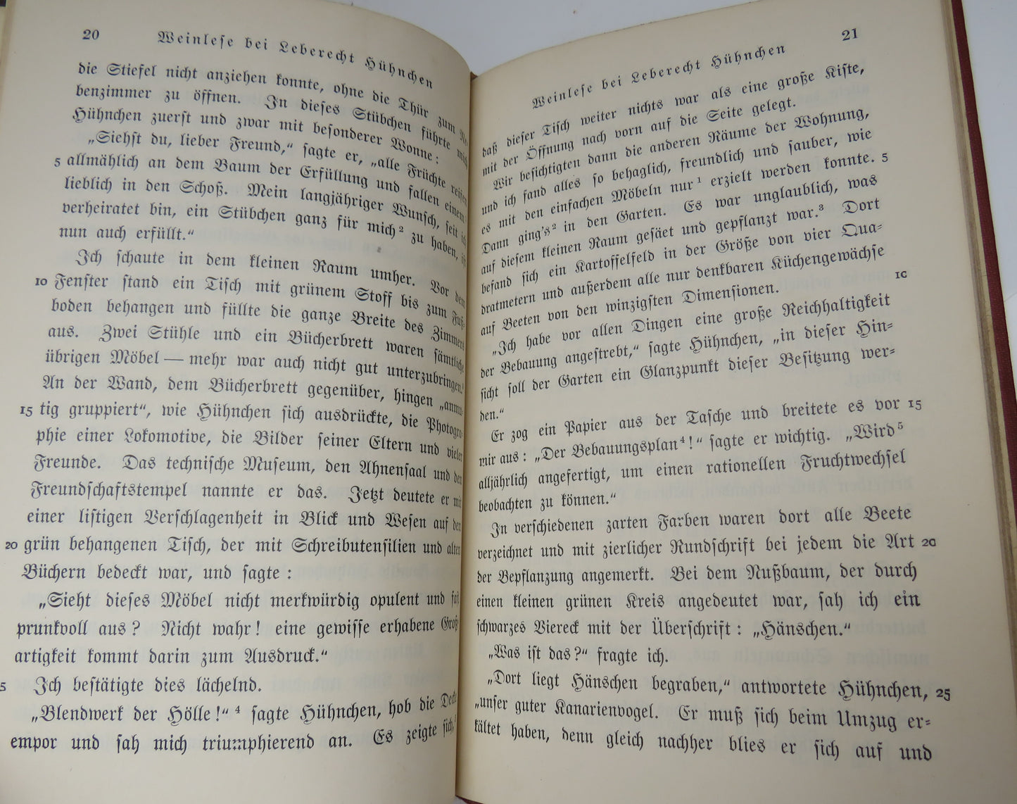 Leberecht Huhnchen Von Henrich Seidel 1901 - Antique German Book