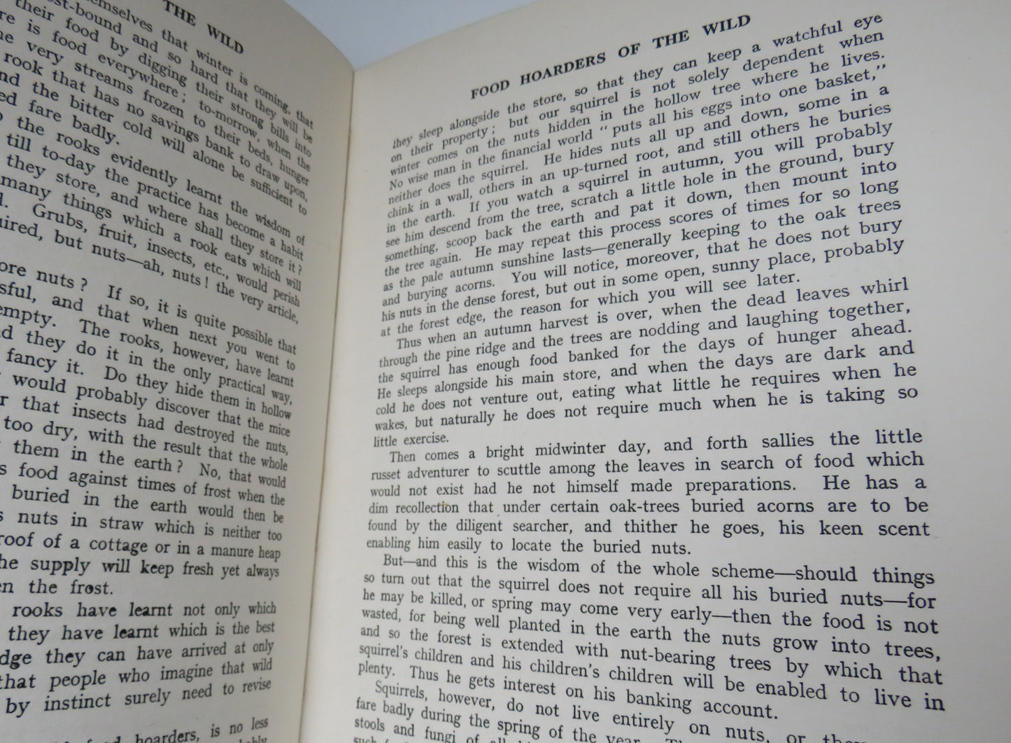 Woodland Stories By H.Mortimer Batten F.Z.S