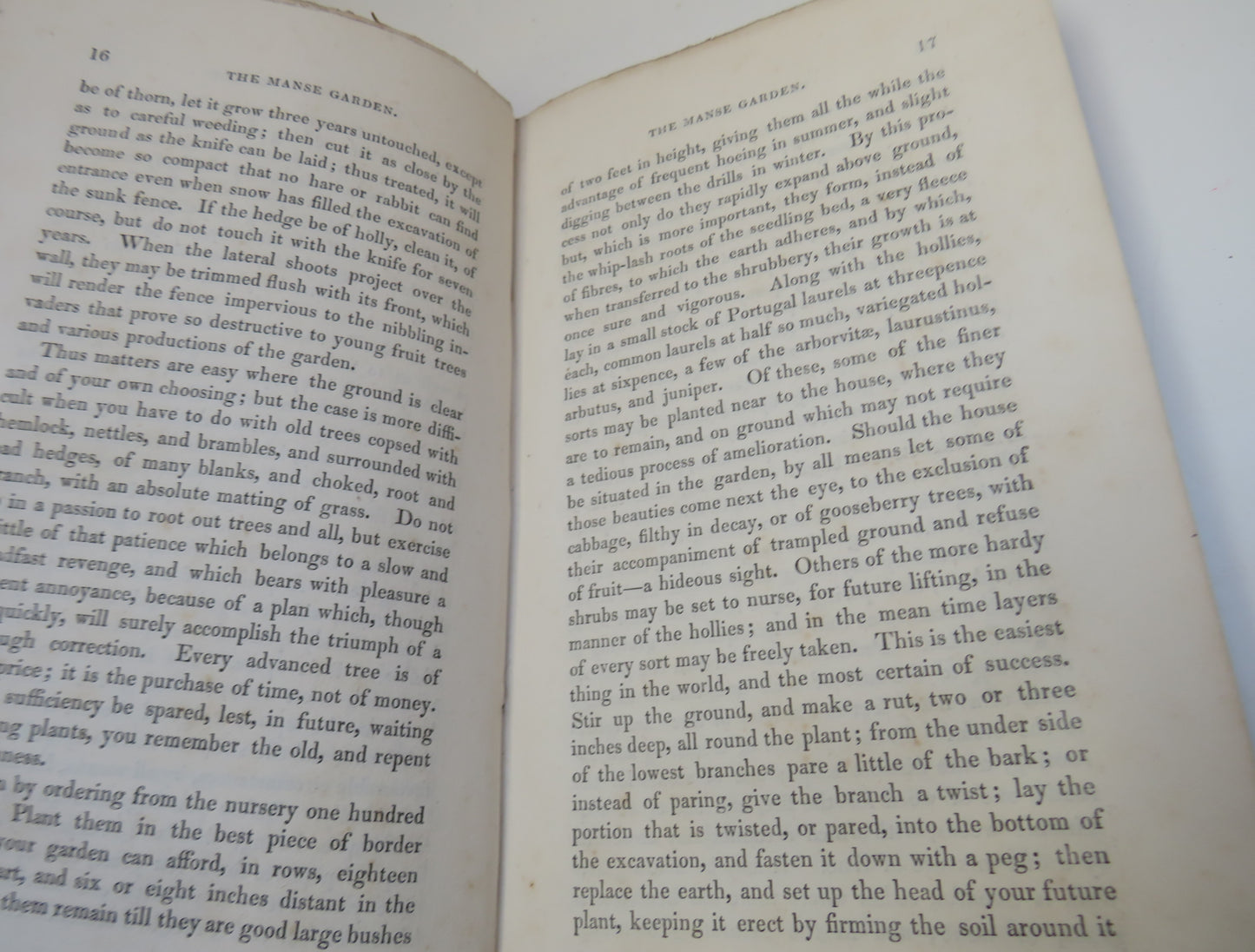 The Manse Garden By The Rev Nathaniel Paterson 1836