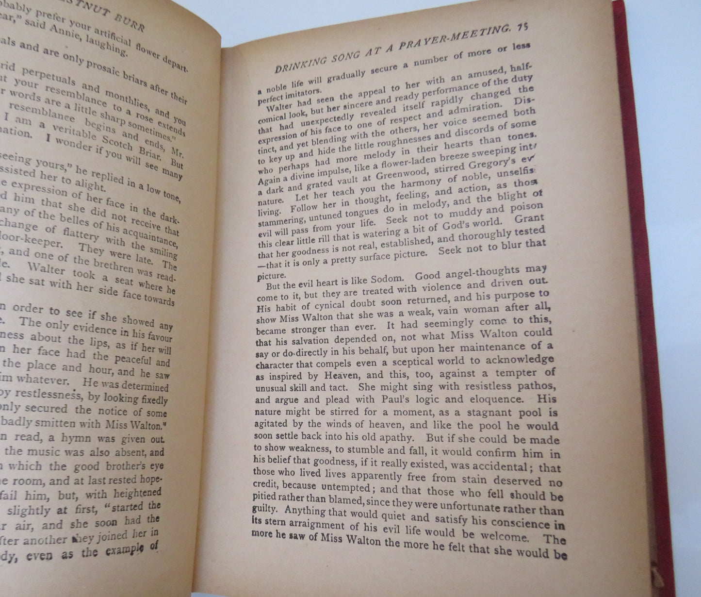 Opening A Chestnut Bur By E.P. Roe